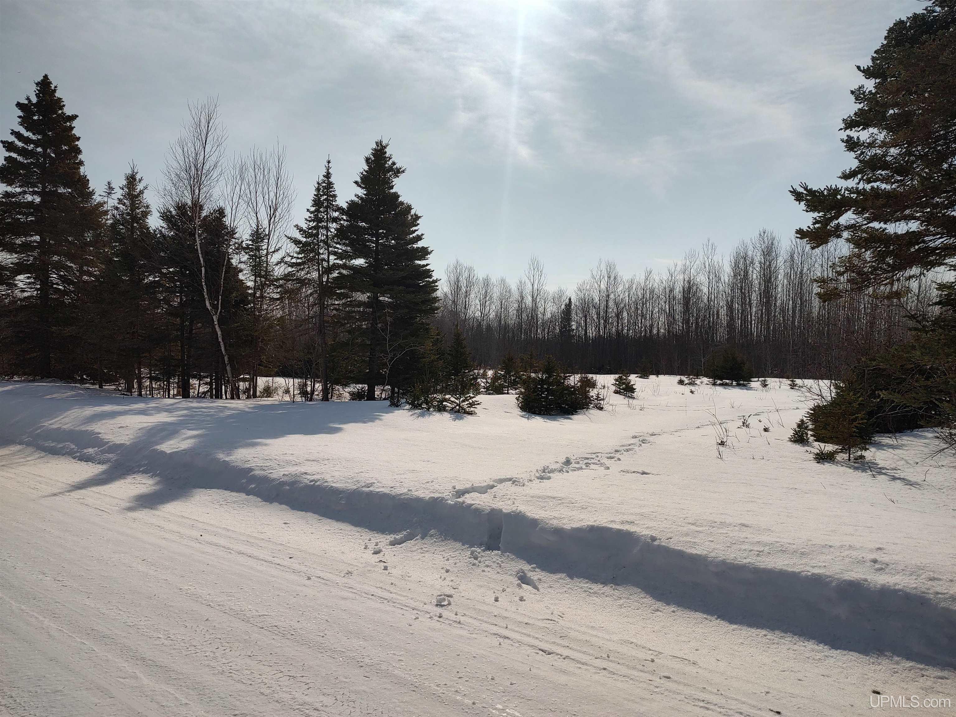 30 Acres Parkington Road, Gulliver, MI, 49840