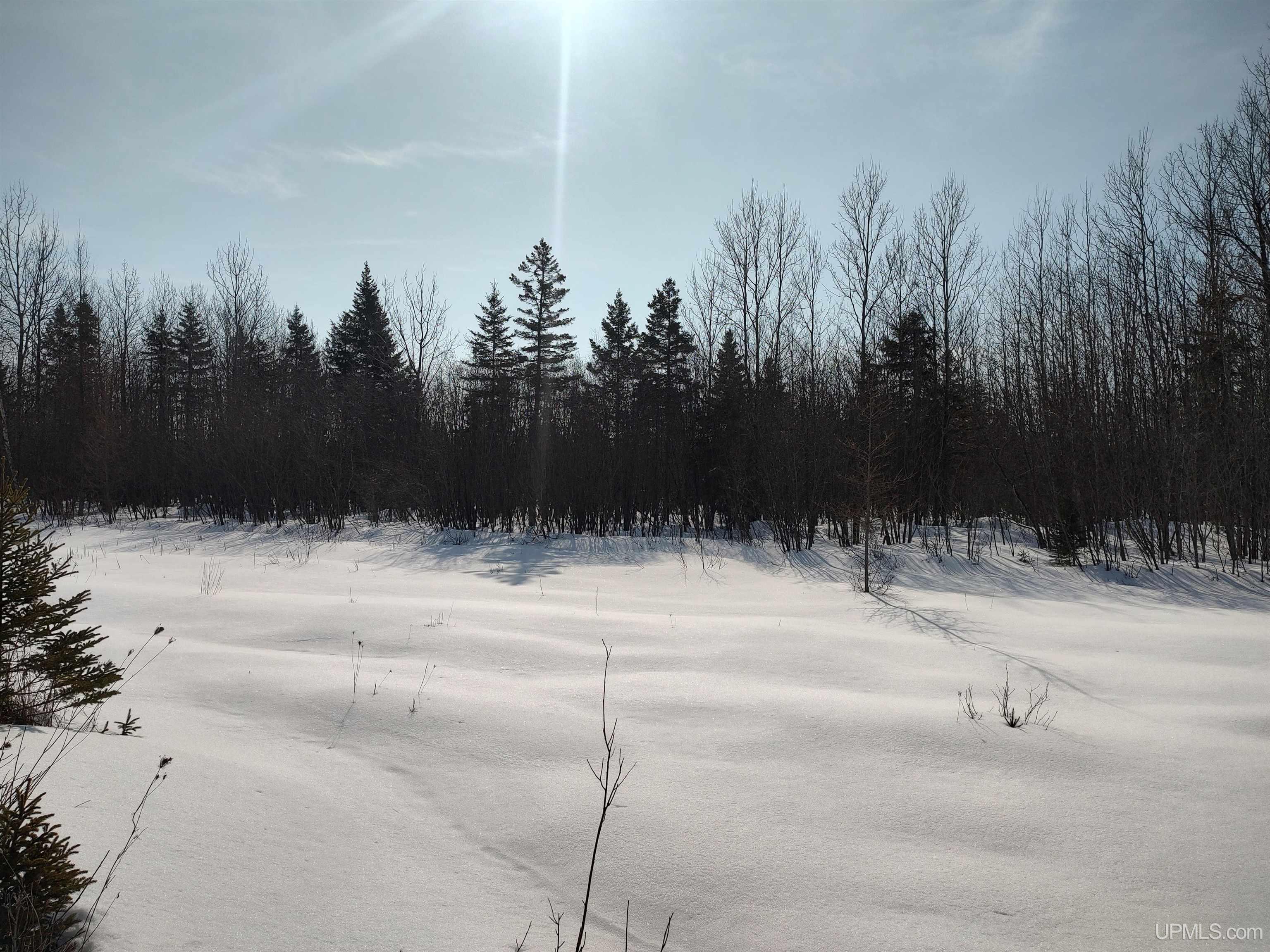 30 Acres Parkington Road, Gulliver, MI, 49840