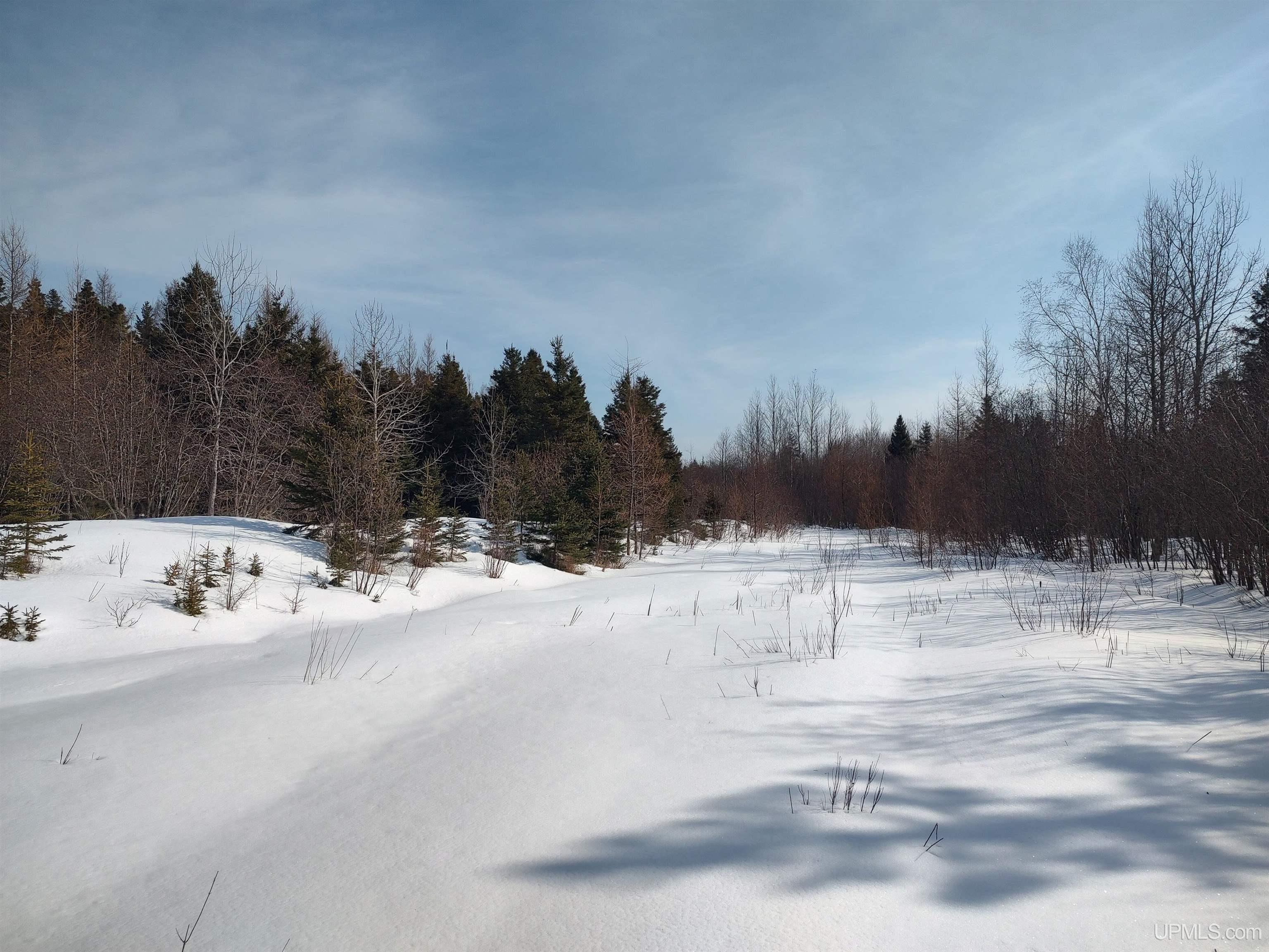 30 Acres Parkington Road, Gulliver, MI, 49840