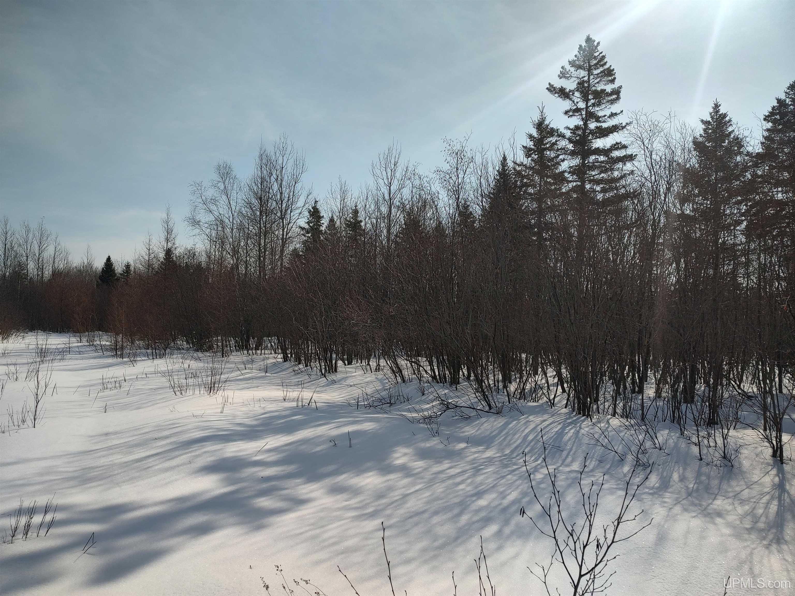 30 Acres Parkington Road, Gulliver, MI, 49840