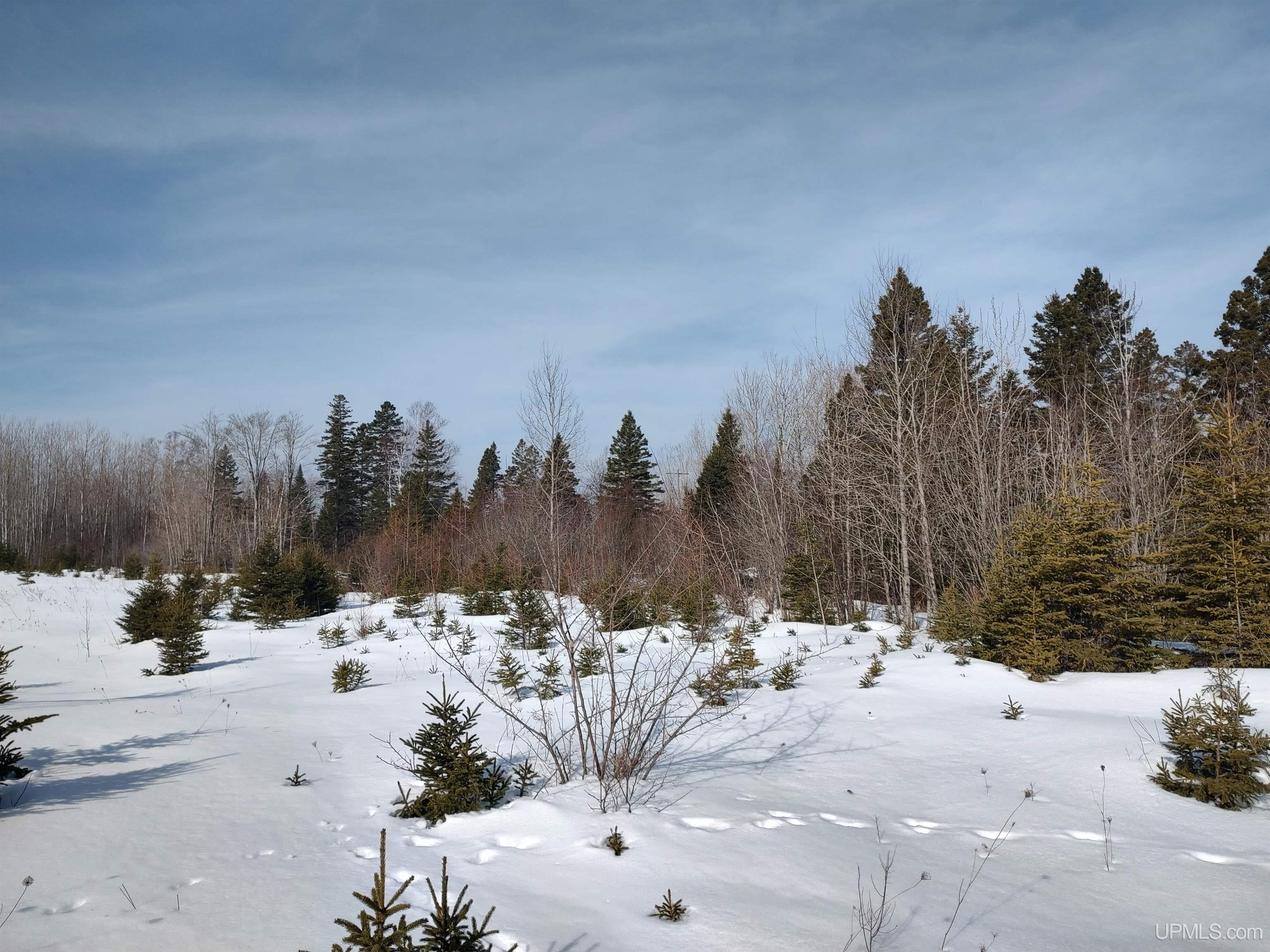 30 Acres Parkington Road, Gulliver, MI, 49840