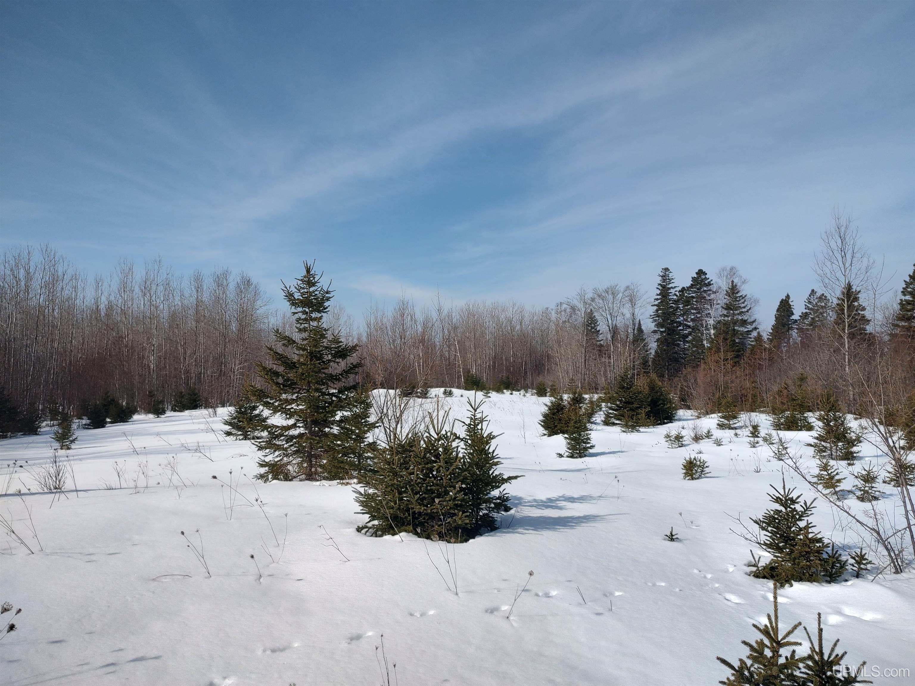 30 Acres Parkington Road, Gulliver, MI, 49840