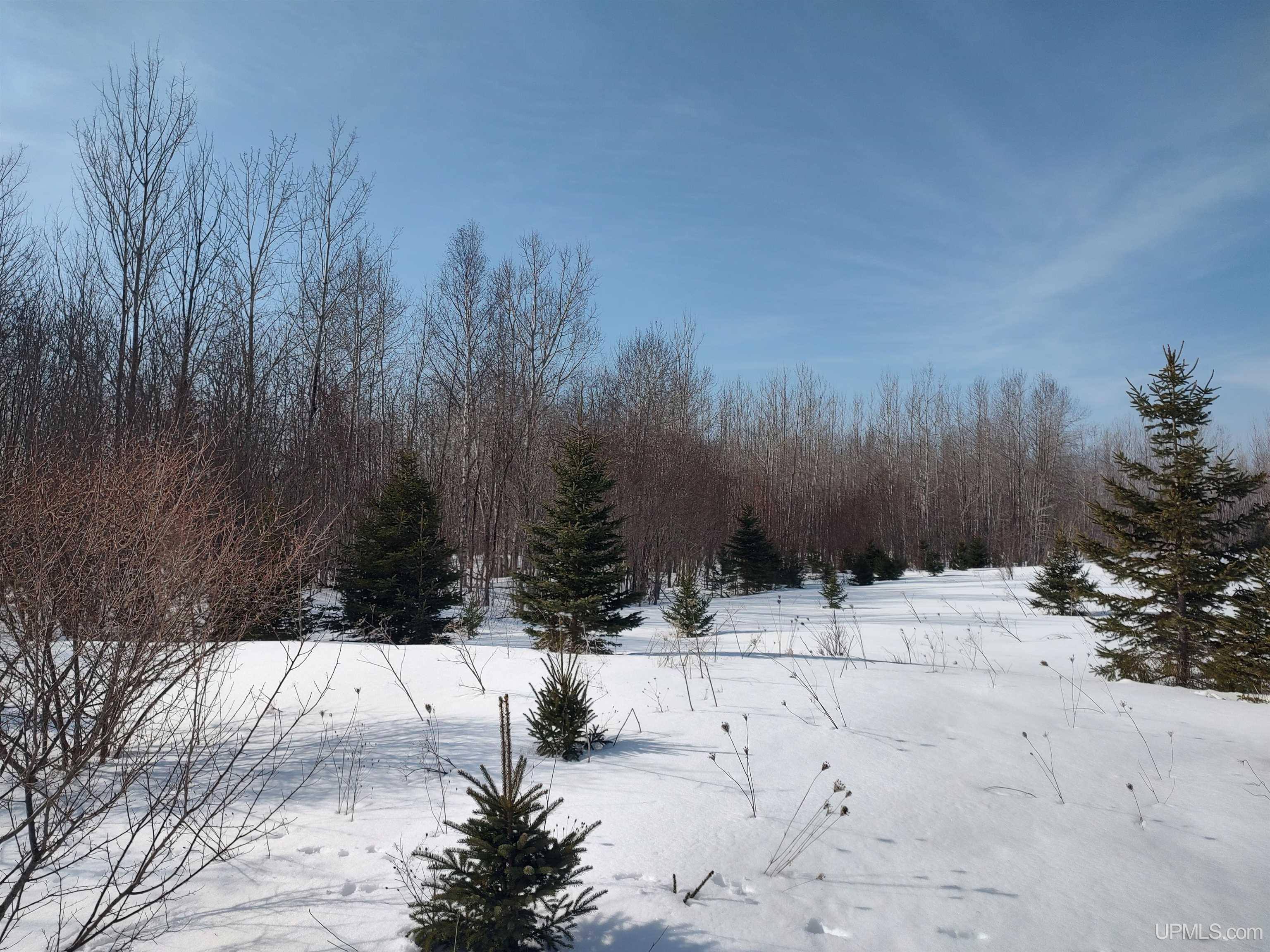 30 Acres Parkington Road, Gulliver, MI, 49840