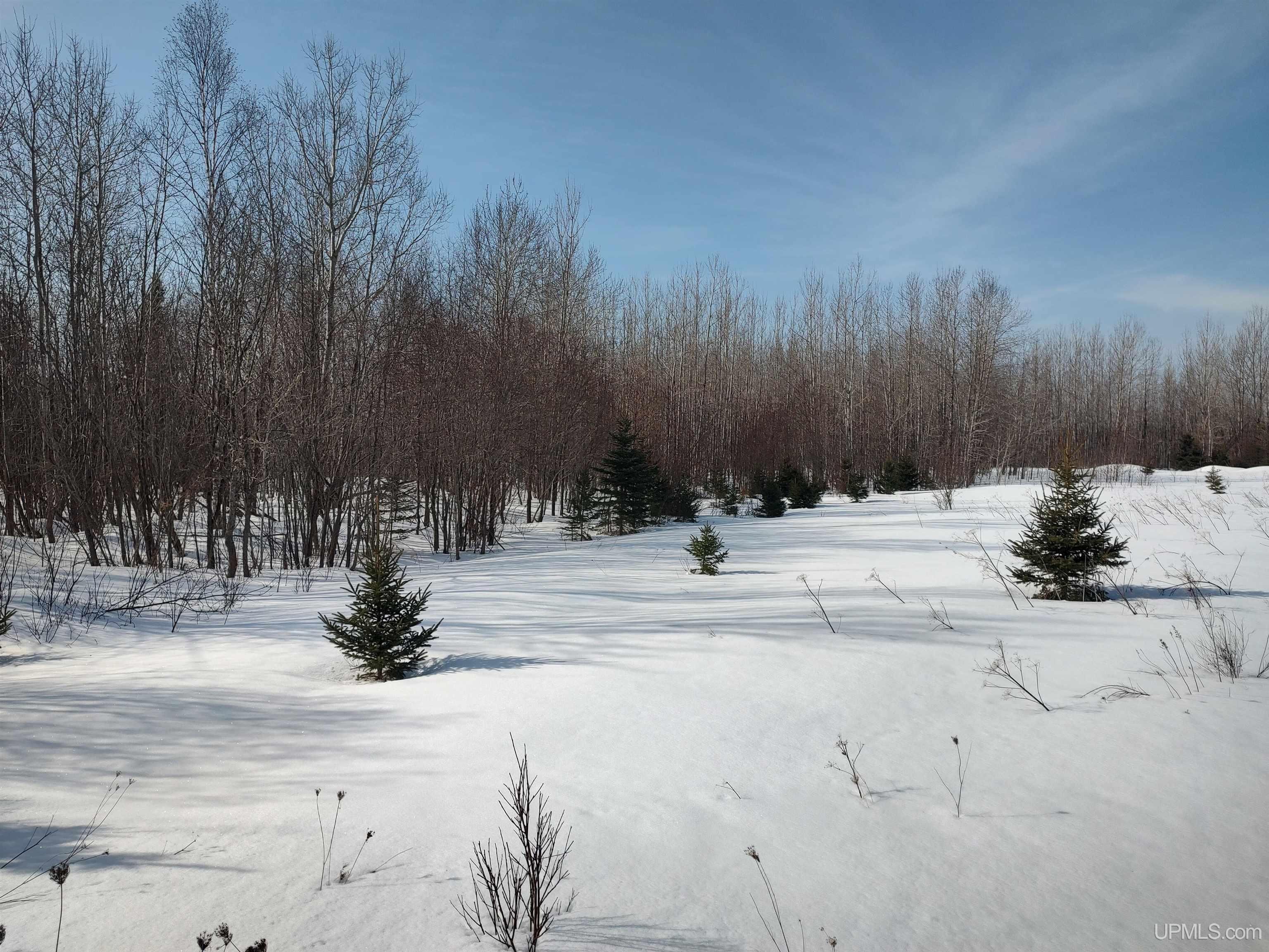 30 Acres Parkington Road, Gulliver, MI, 49840