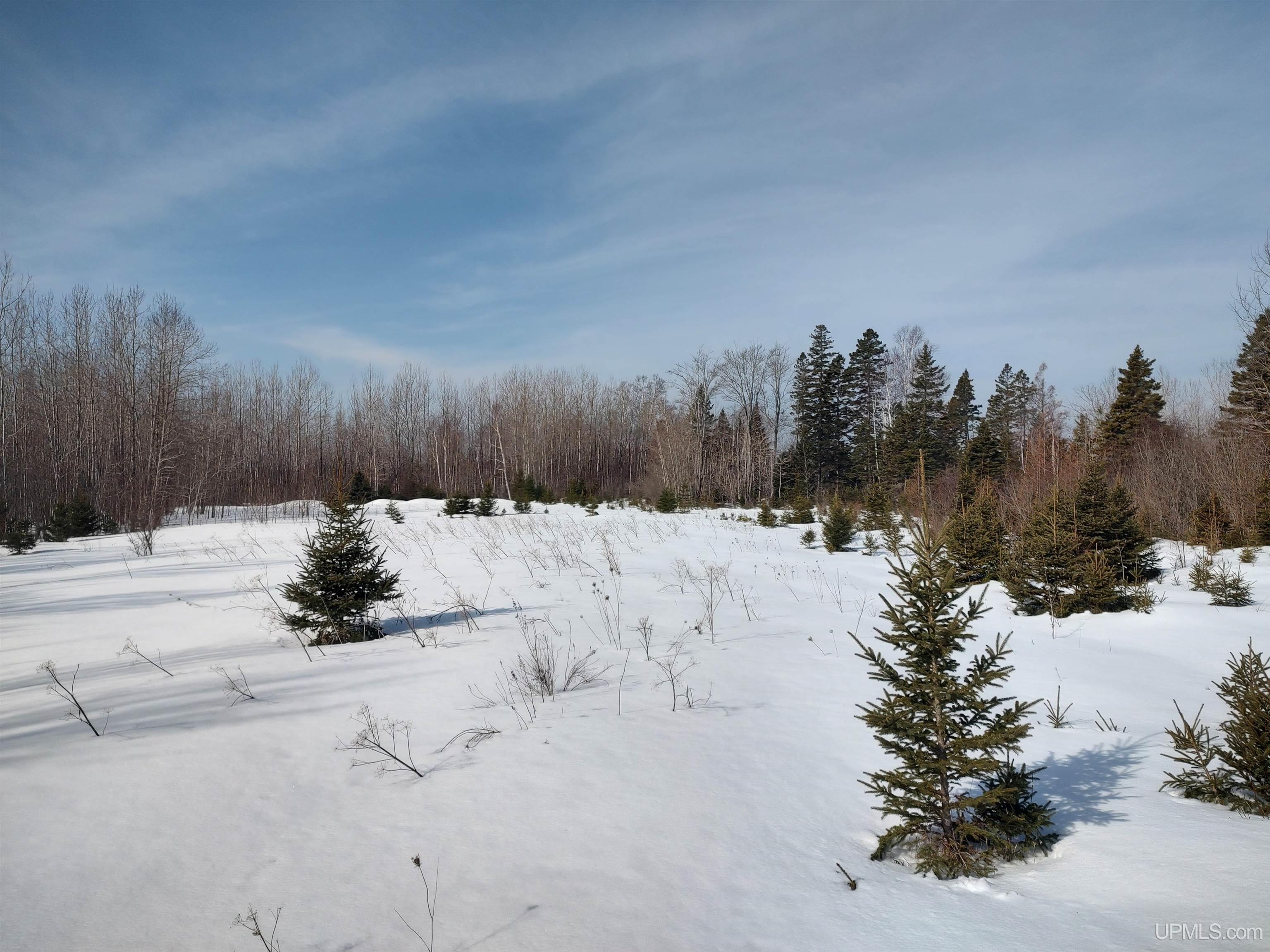 30 Acres Parkington Road, Gulliver, MI, 49840