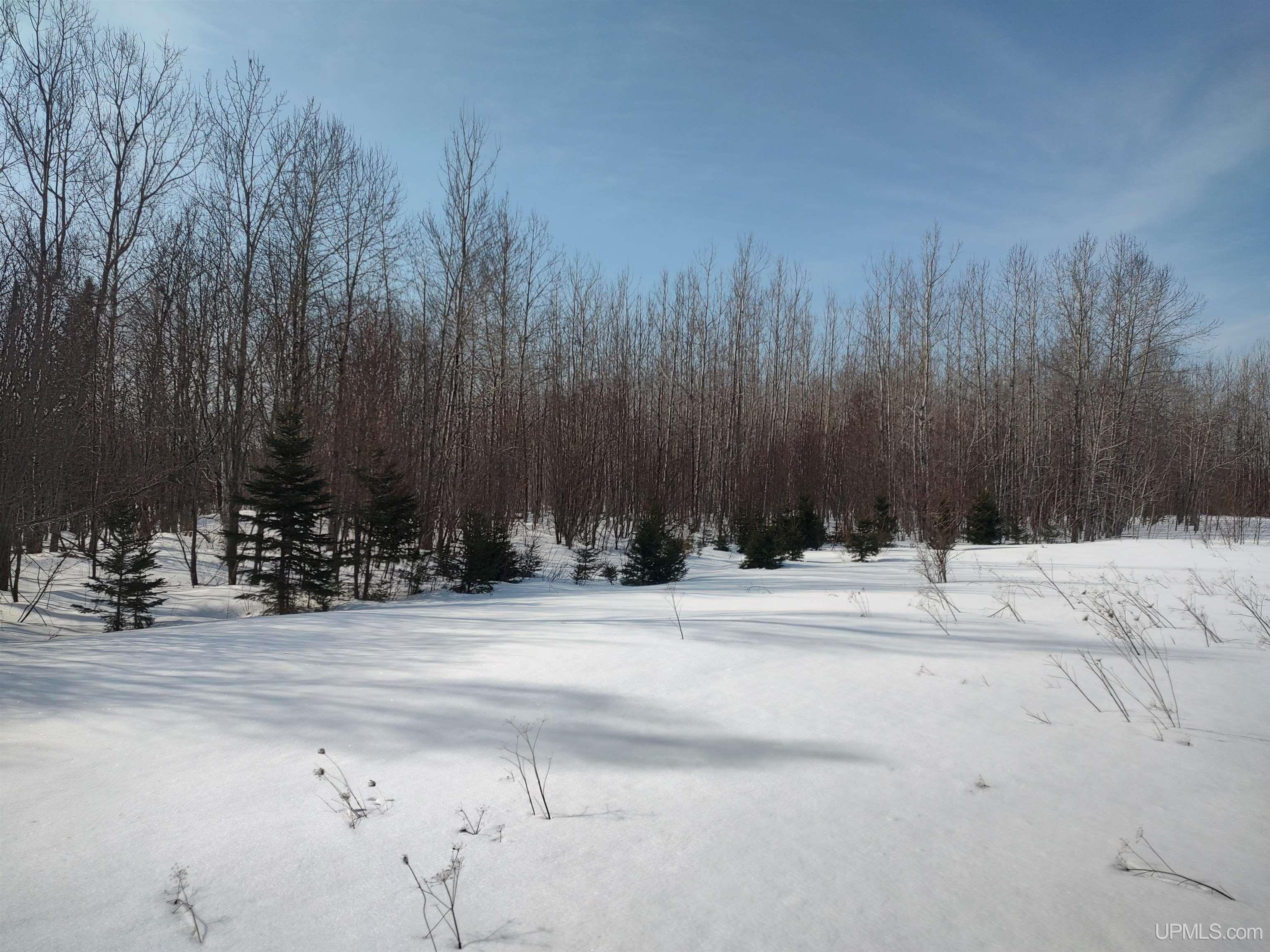 30 Acres Parkington Road, Gulliver, MI, 49840
