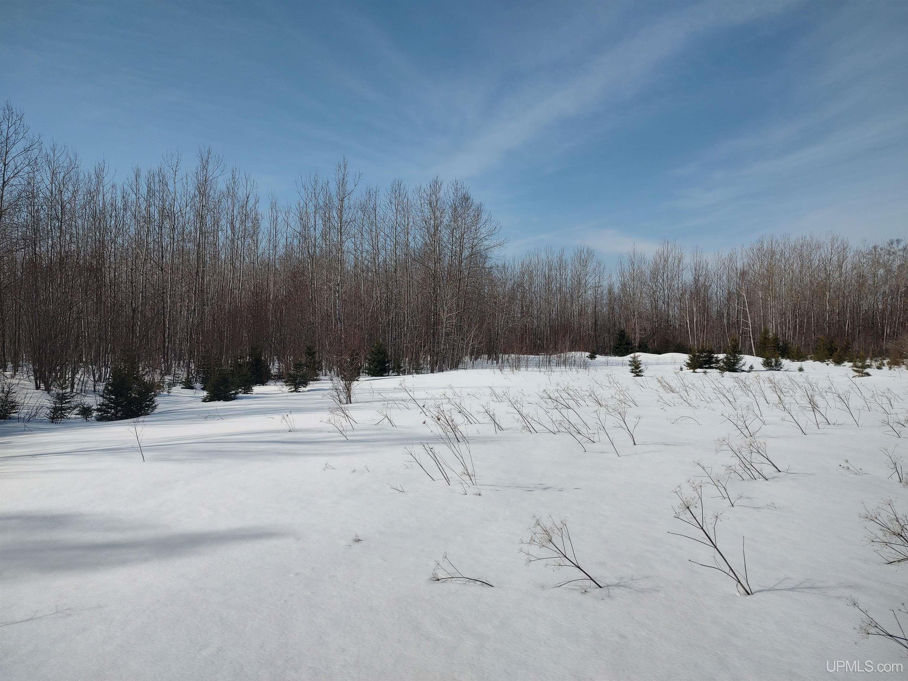 30 Acres Parkington Road, Gulliver, MI, 49840