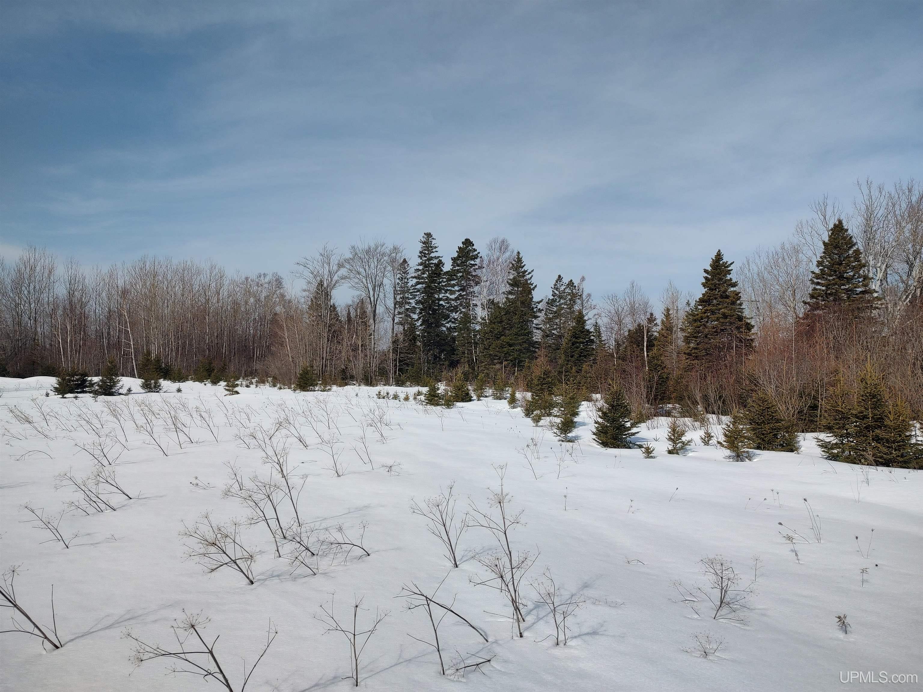 30 Acres Parkington Road, Gulliver, MI, 49840