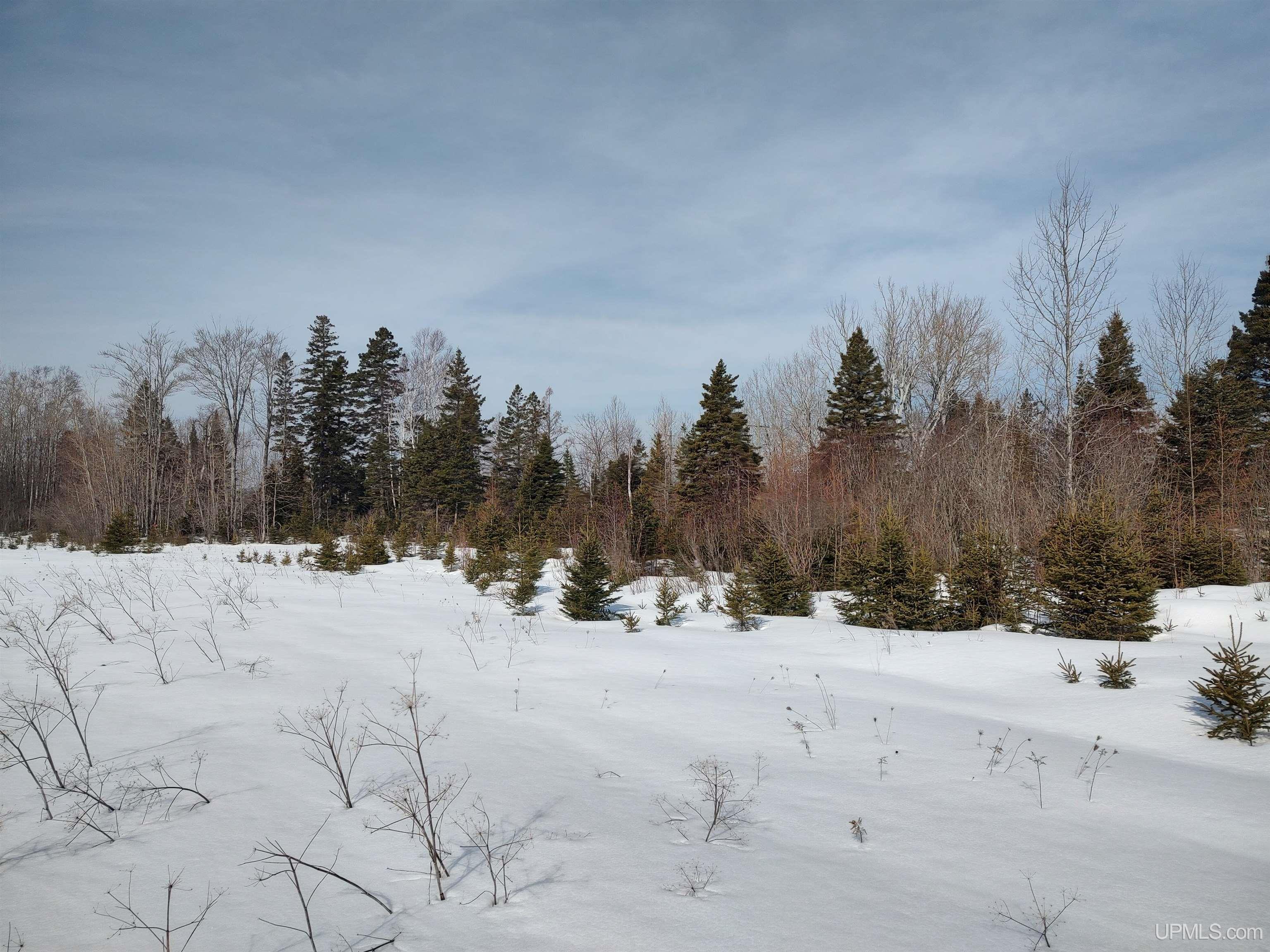 30 Acres Parkington Road, Gulliver, MI, 49840