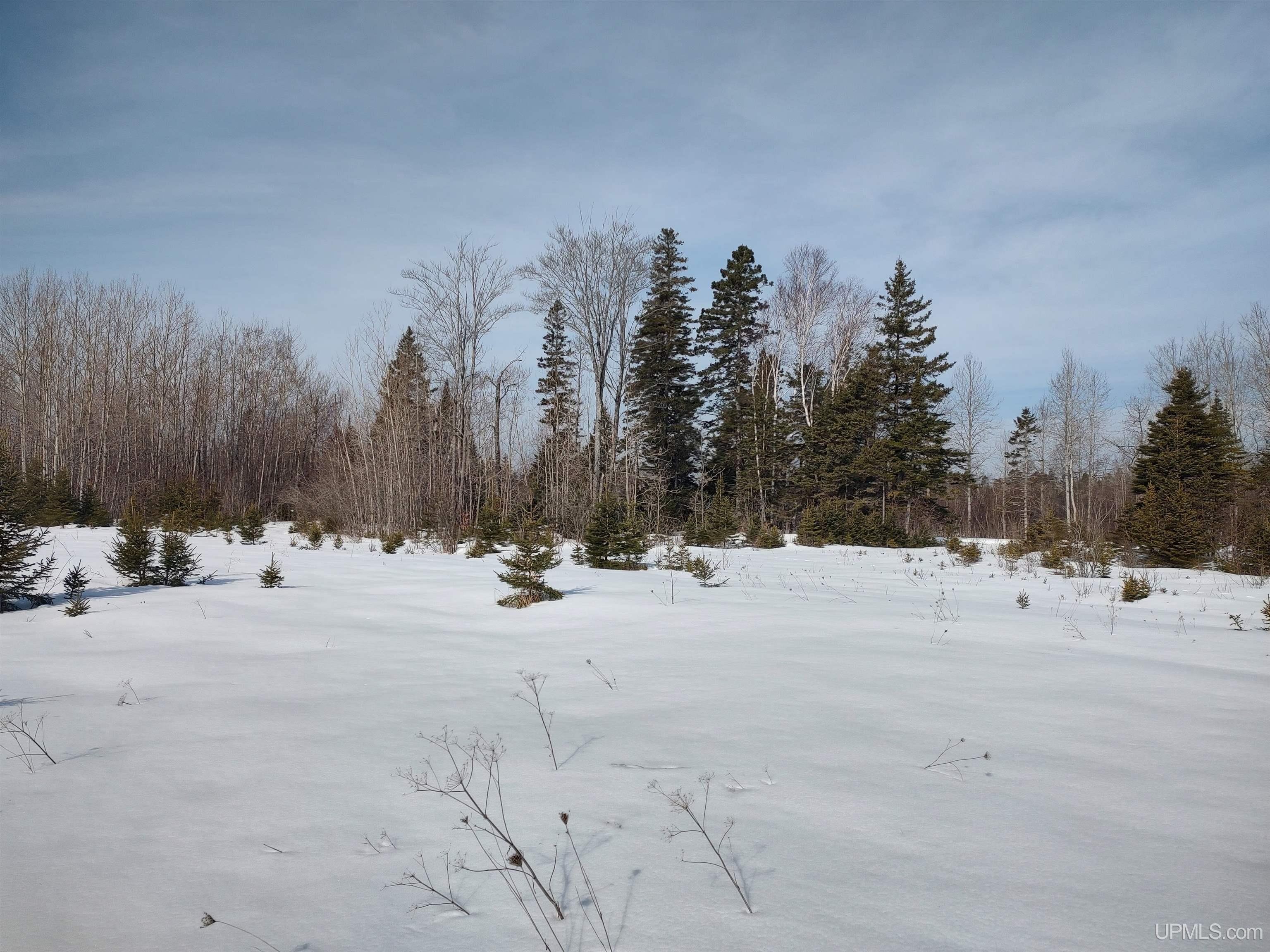 30 Acres Parkington Road, Gulliver, MI, 49840