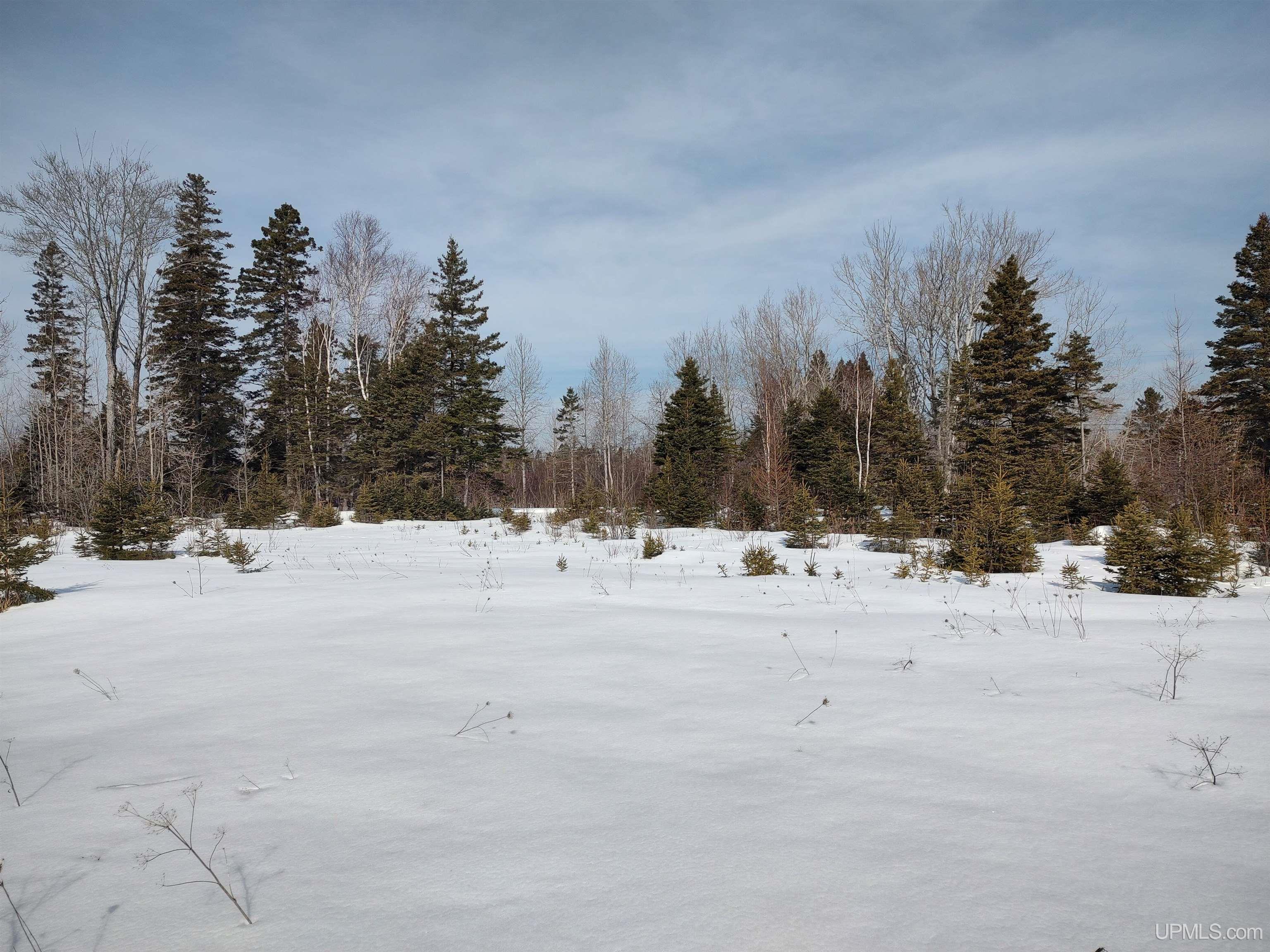 30 Acres Parkington Road, Gulliver, MI, 49840