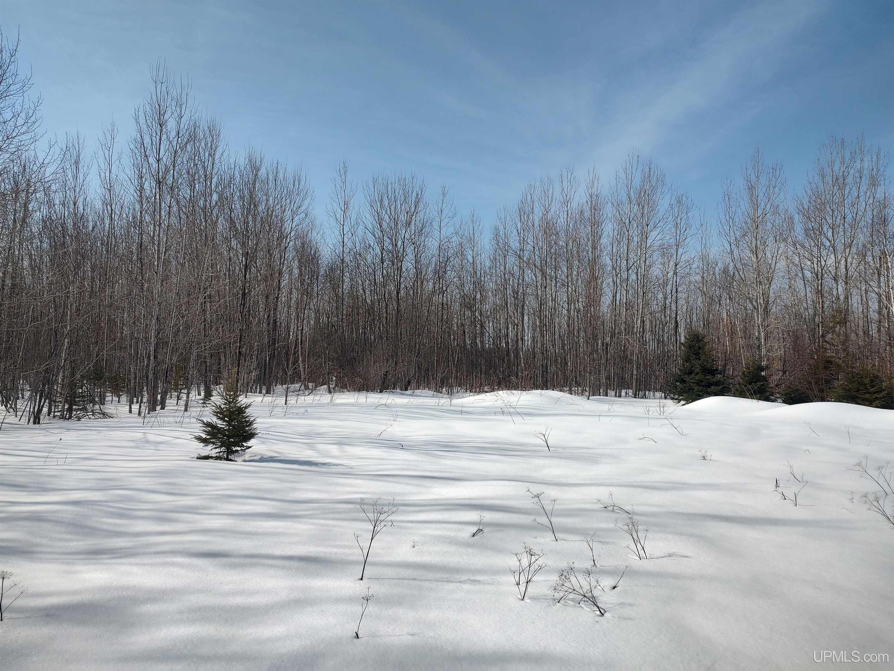 30 Acres Parkington Road, Gulliver, MI, 49840