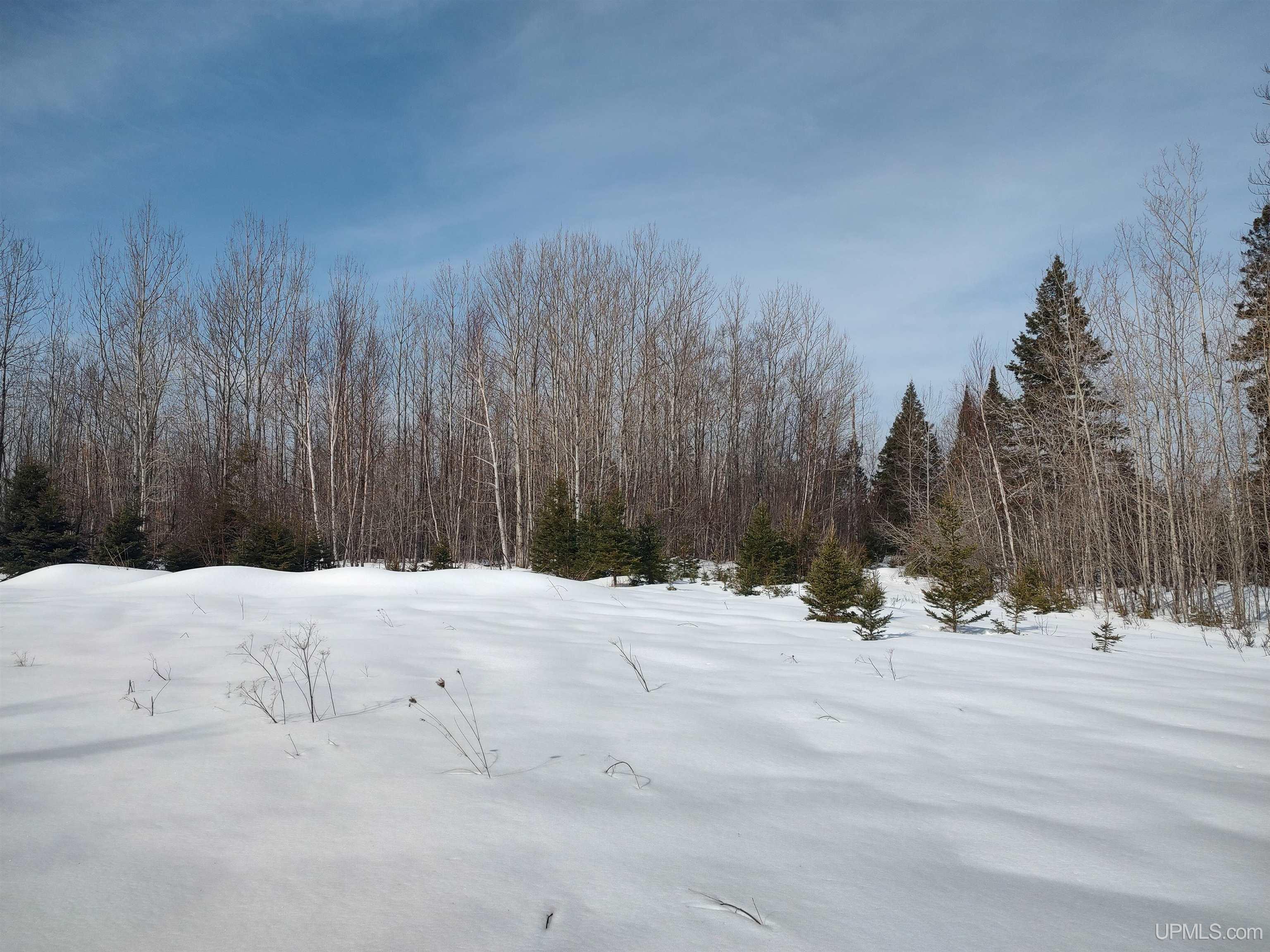 30 Acres Parkington Road, Gulliver, MI, 49840