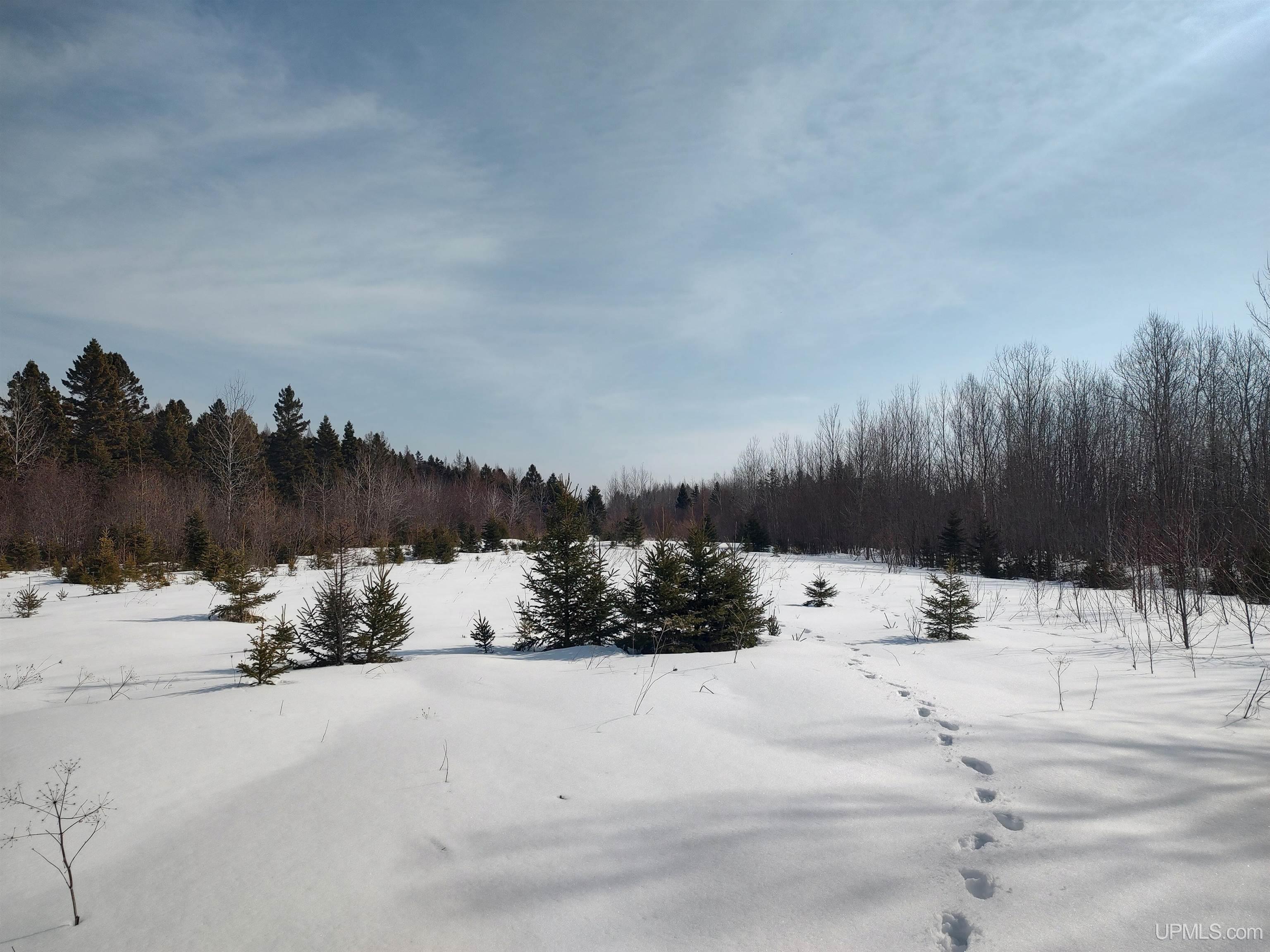 30 Acres Parkington Road, Gulliver, MI, 49840