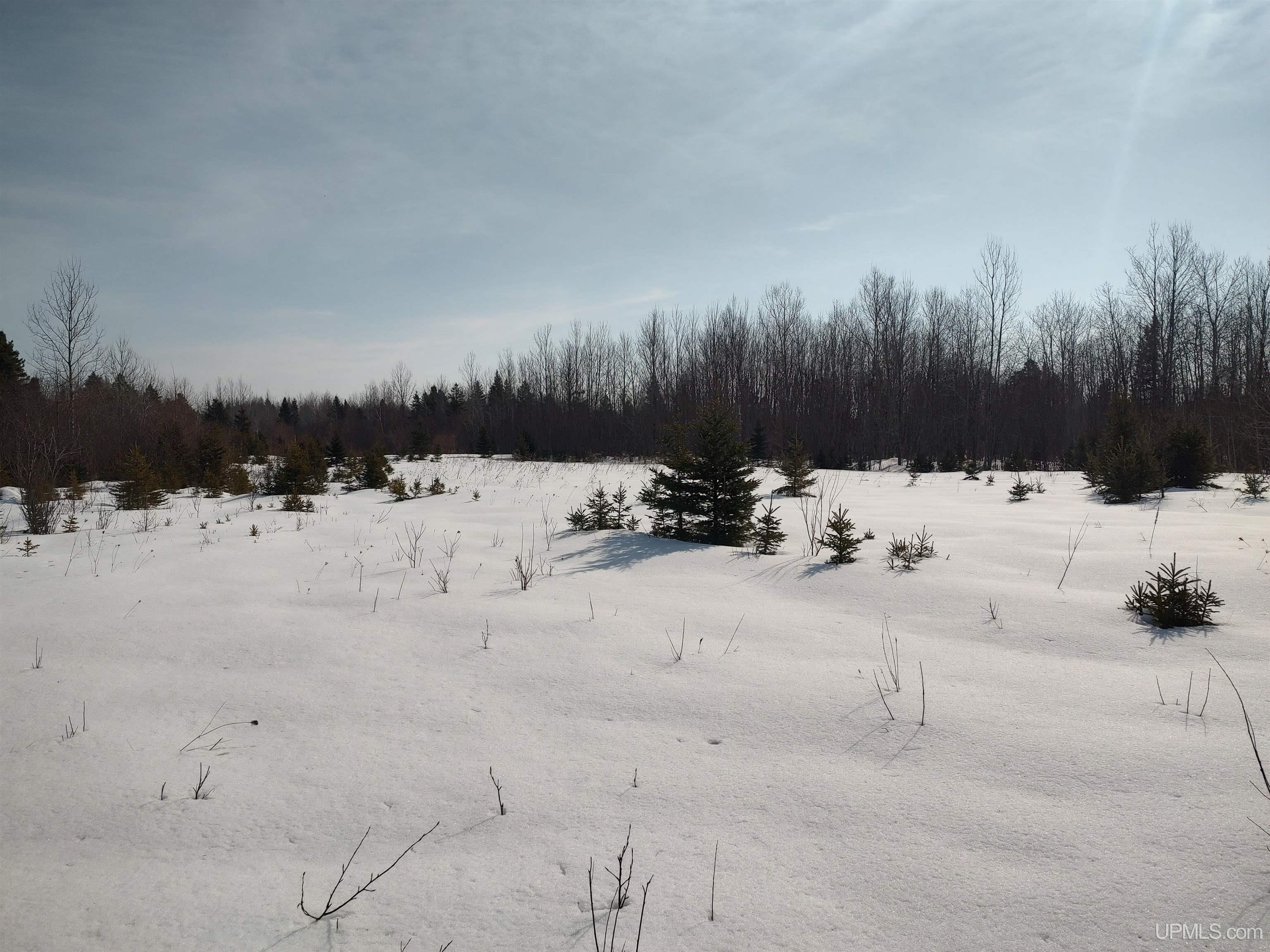 30 Acres Parkington Road, Gulliver, MI, 49840
