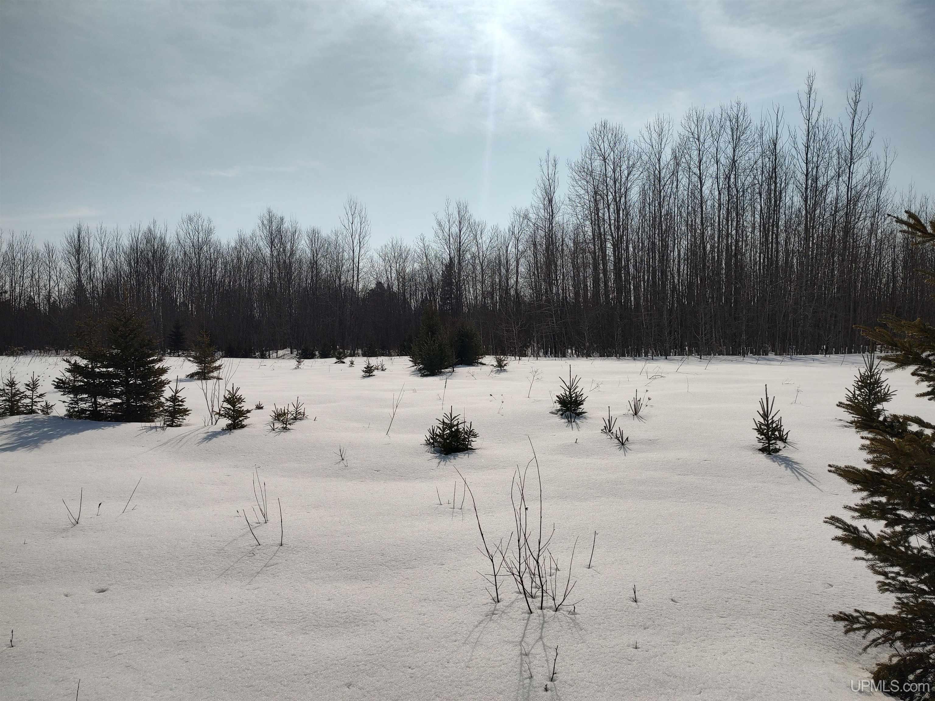 30 Acres Parkington Road, Gulliver, MI, 49840