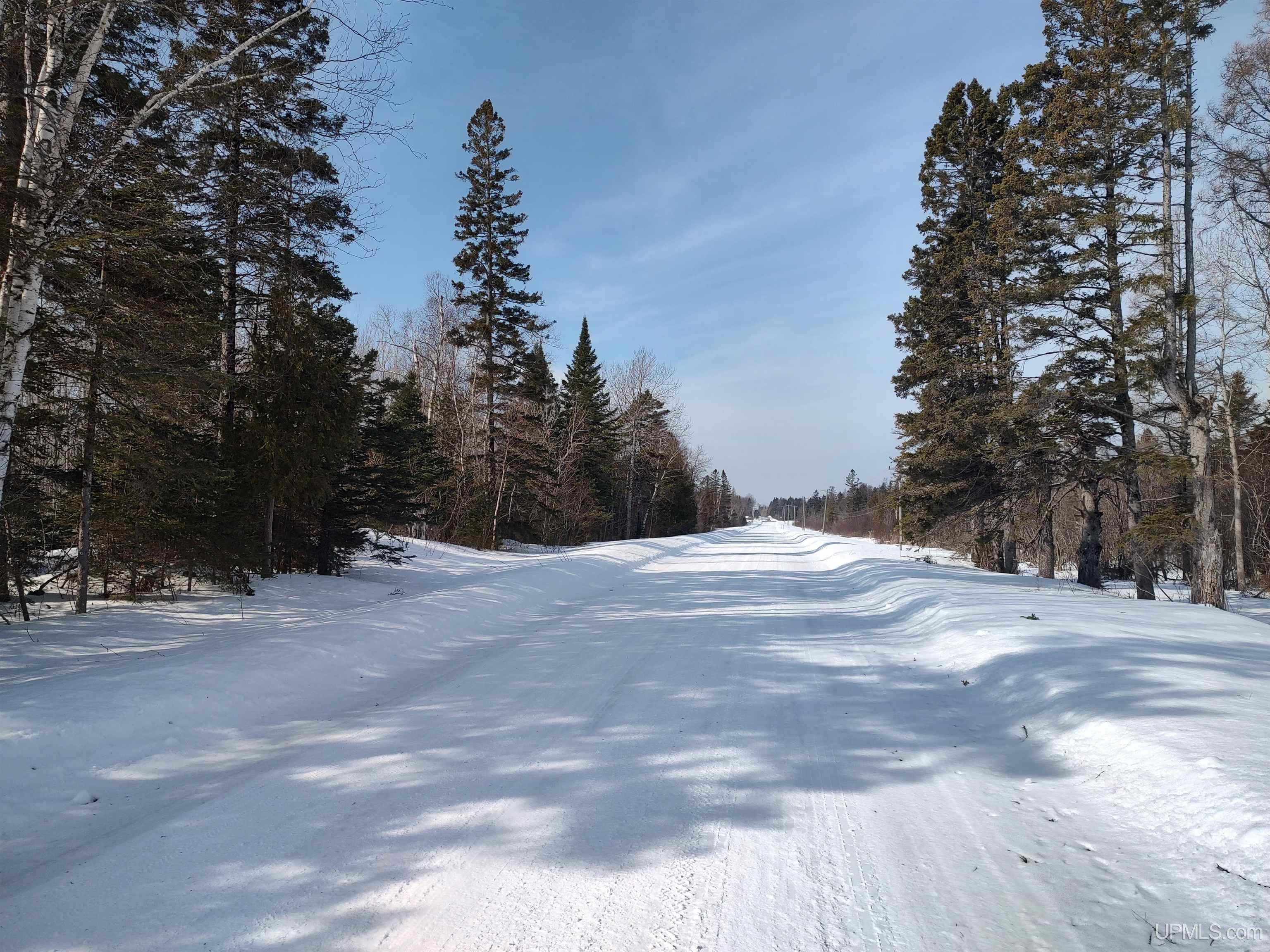 30 Acres Parkington Road, Gulliver, MI, 49840