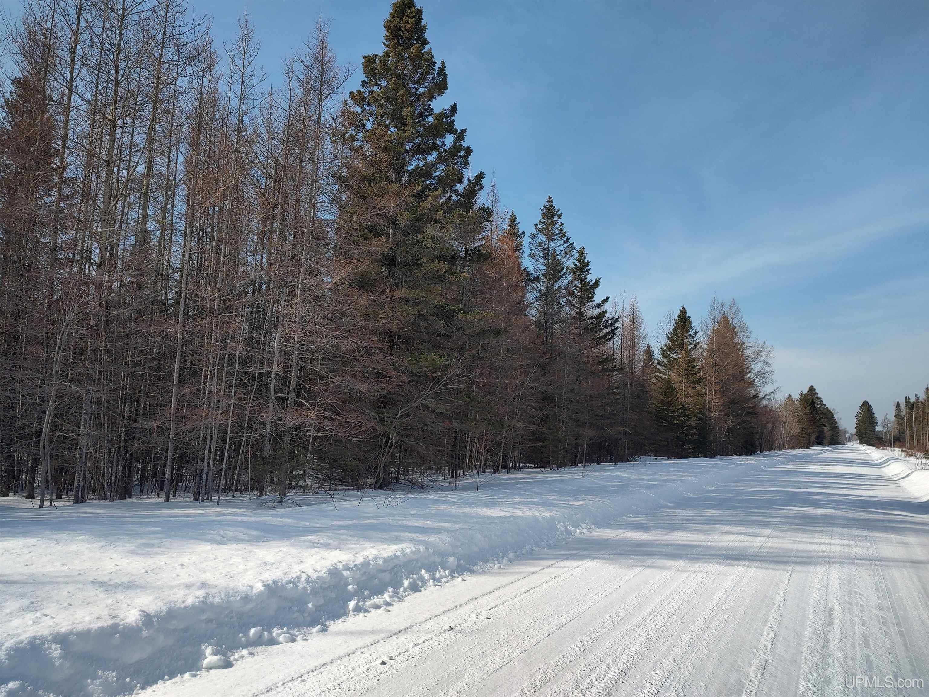 30 Acres Parkington Road, Gulliver, MI, 49840