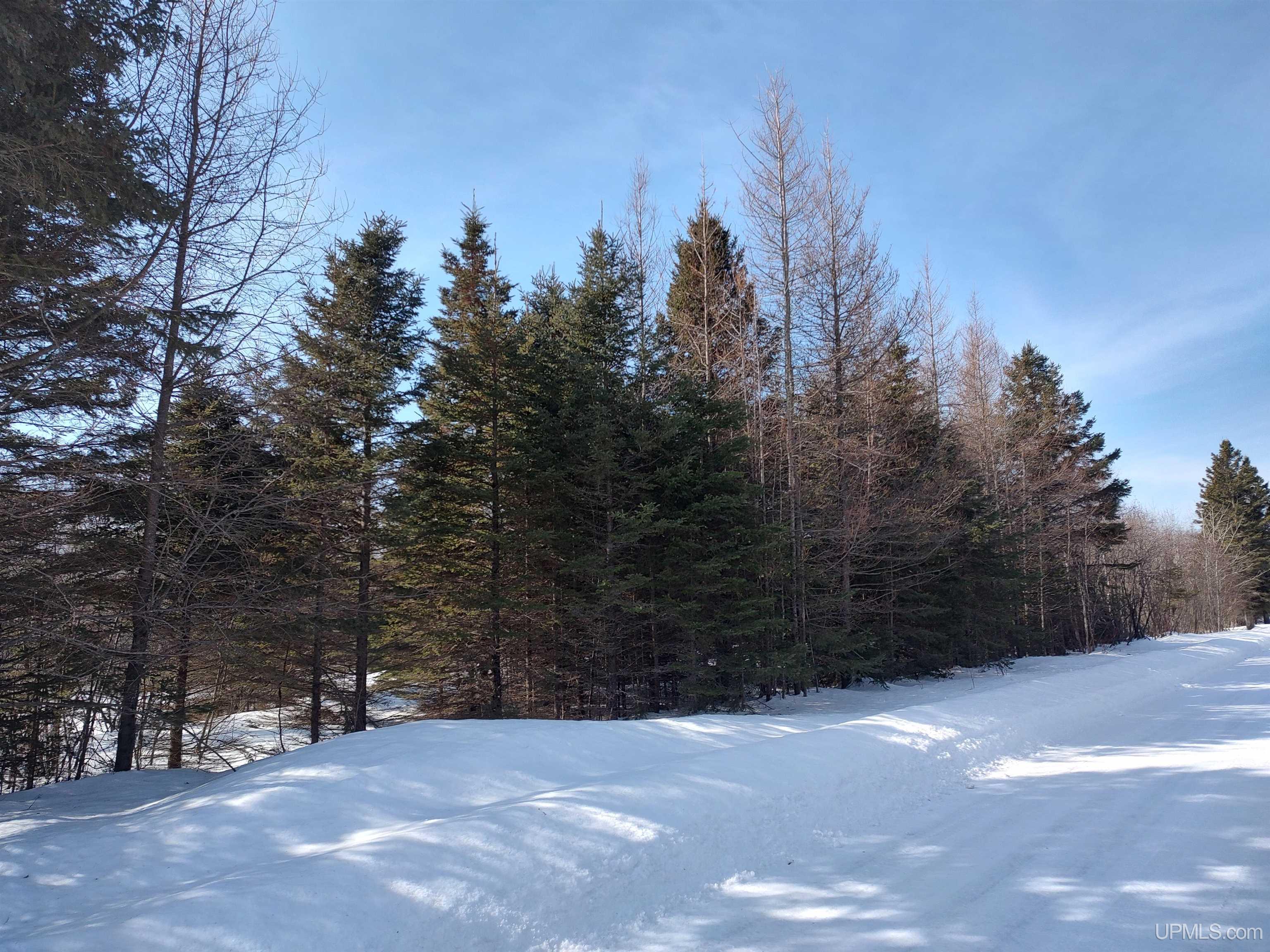 30 Acres Parkington Road, Gulliver, MI, 49840