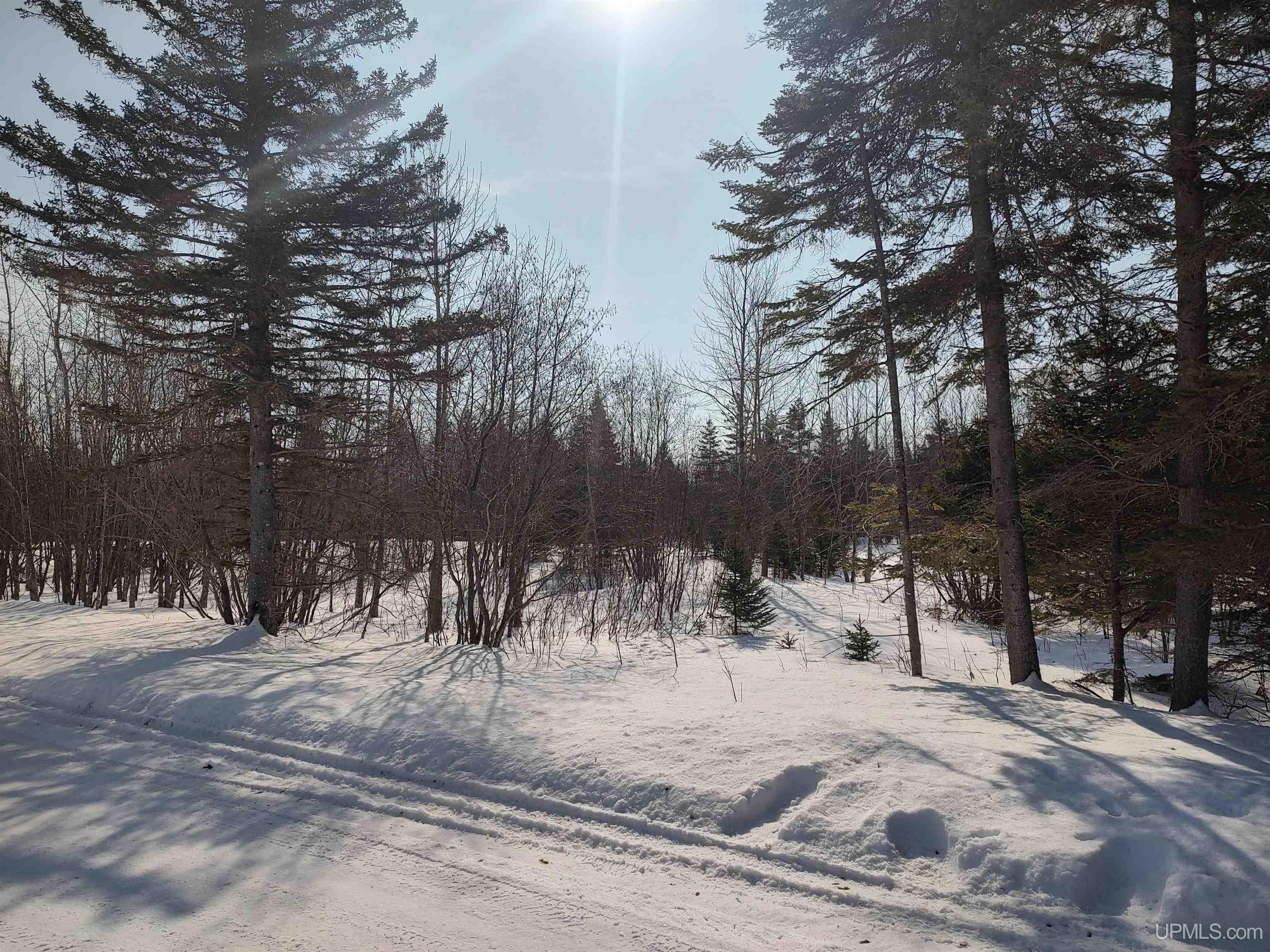 30 Acres Parkington Road, Gulliver, MI, 49840