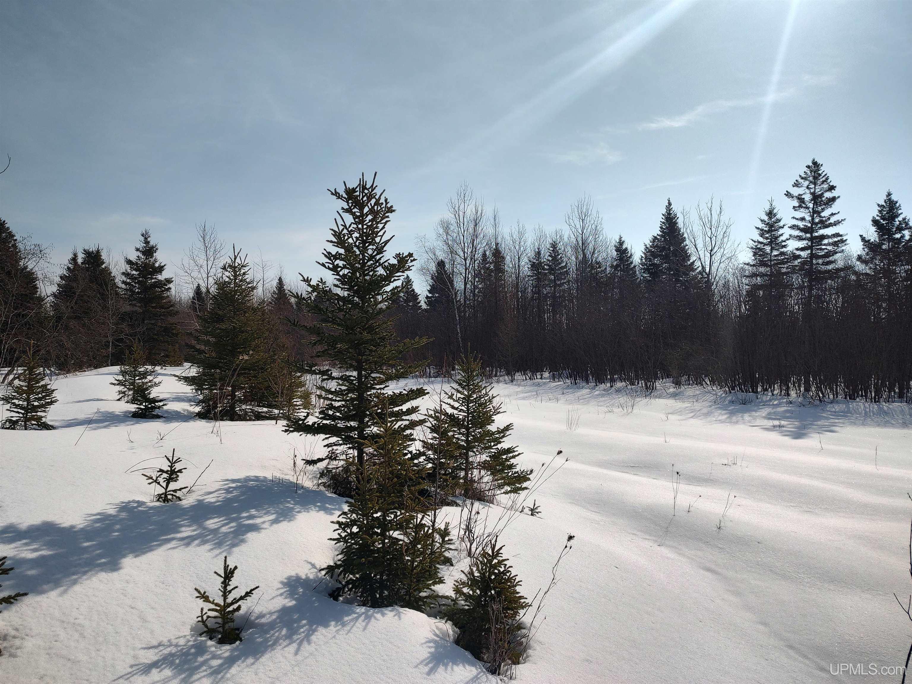 30 Acres Parkington Road, Gulliver, MI, 49840