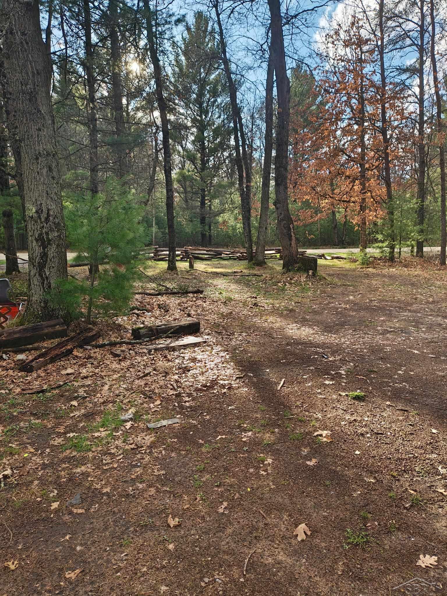 2166 S Forman Road, Baldwin, MI, 49304