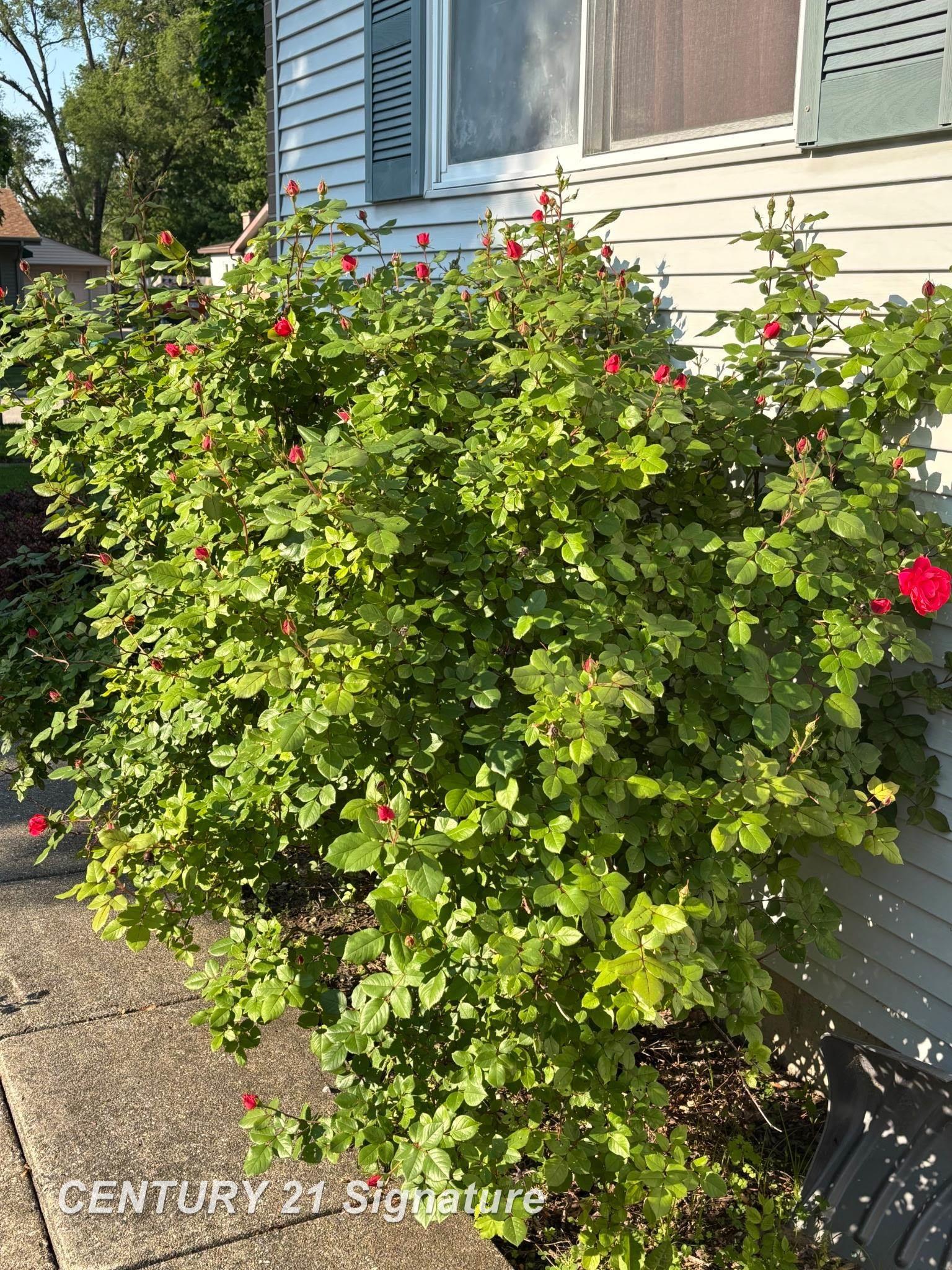 905 Fleetwood Drive, Saginaw, MI, 48604