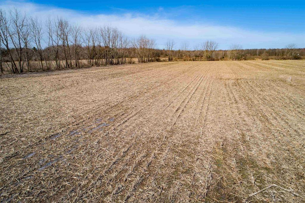 VL S Iva Road, Saint Charles, MI, 48655