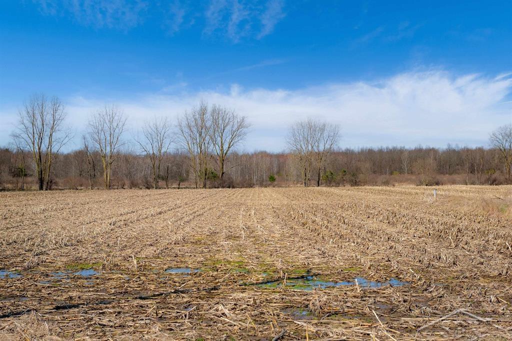 VL S Iva Road, Saint Charles, MI, 48655