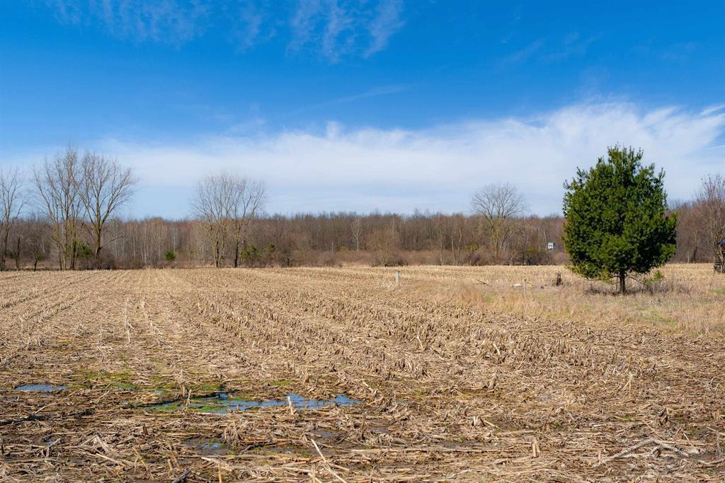 VL S Iva Road, Saint Charles, MI, 48655