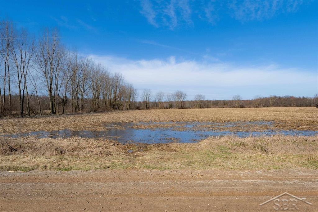VL S Iva Road, Saint Charles, MI, 48655