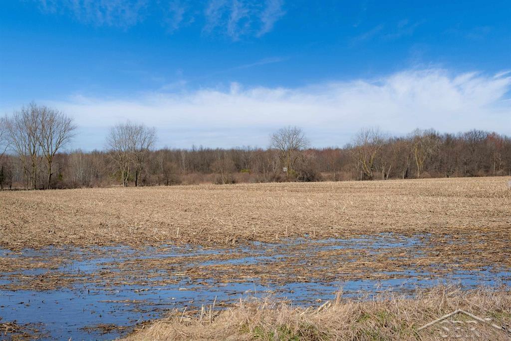 VL S Iva Road, Saint Charles, MI, 48655