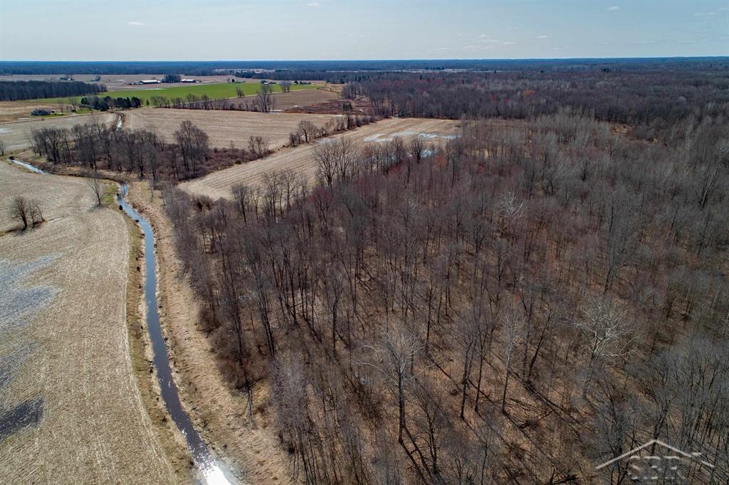 78.23 Acres Grabowski Road, Saint Charles, MI, 48655