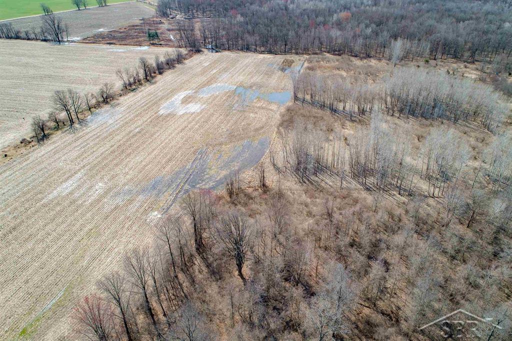 78.23 Acres Grabowski Road, Saint Charles, MI, 48655