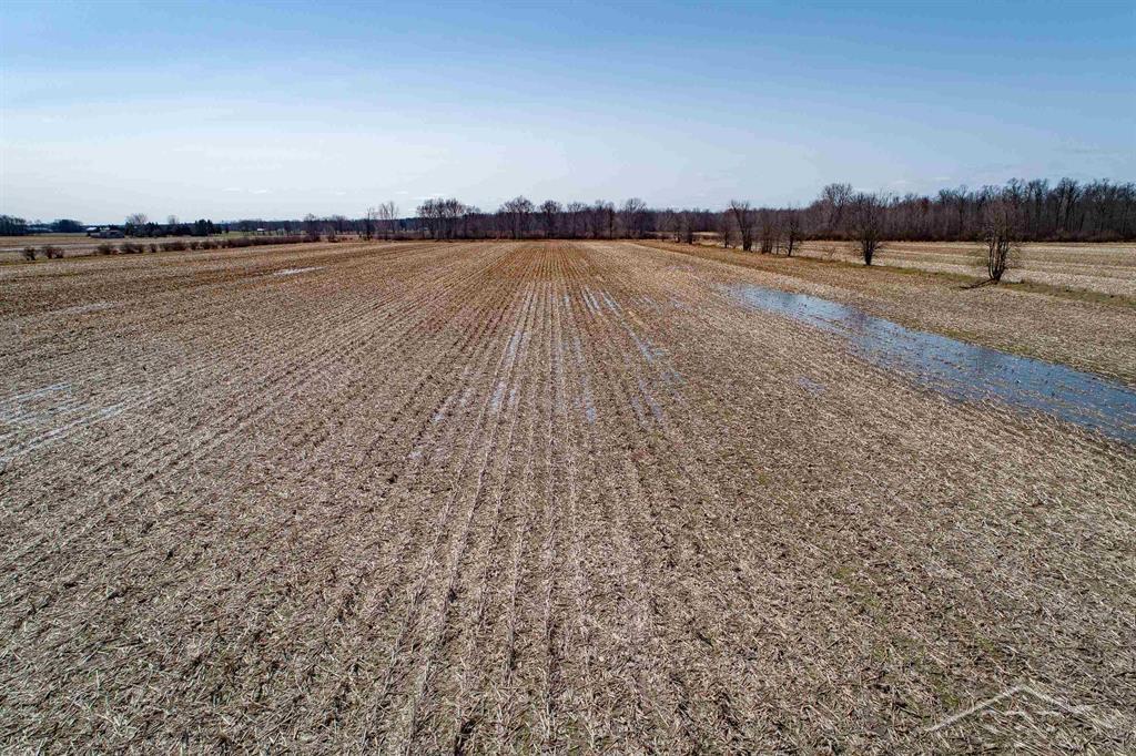 78.23 Acres Grabowski Road, Saint Charles, MI, 48655