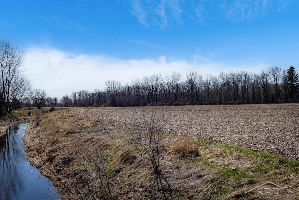 78.23 Acres Grabowski Road, Saint Charles, MI, 48655