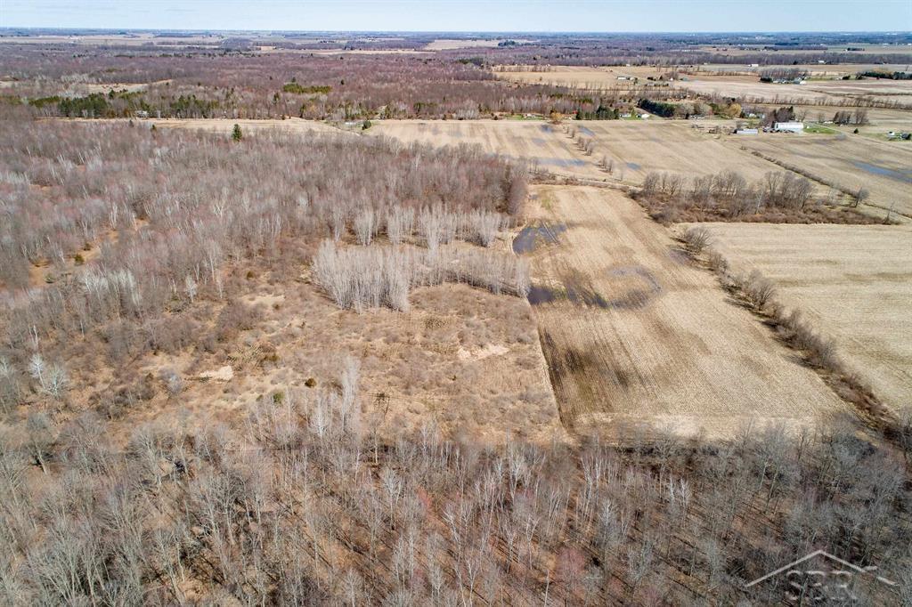 78.23 Acres Grabowski Road, Saint Charles, MI, 48655
