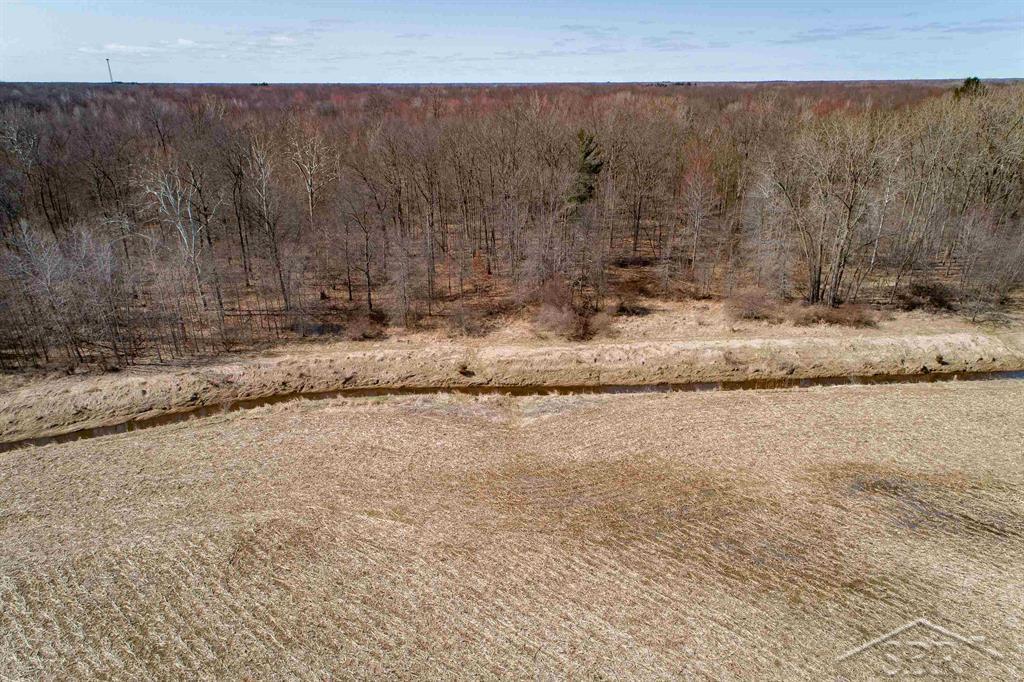 78.23 Acres Grabowski Road, Saint Charles, MI, 48655
