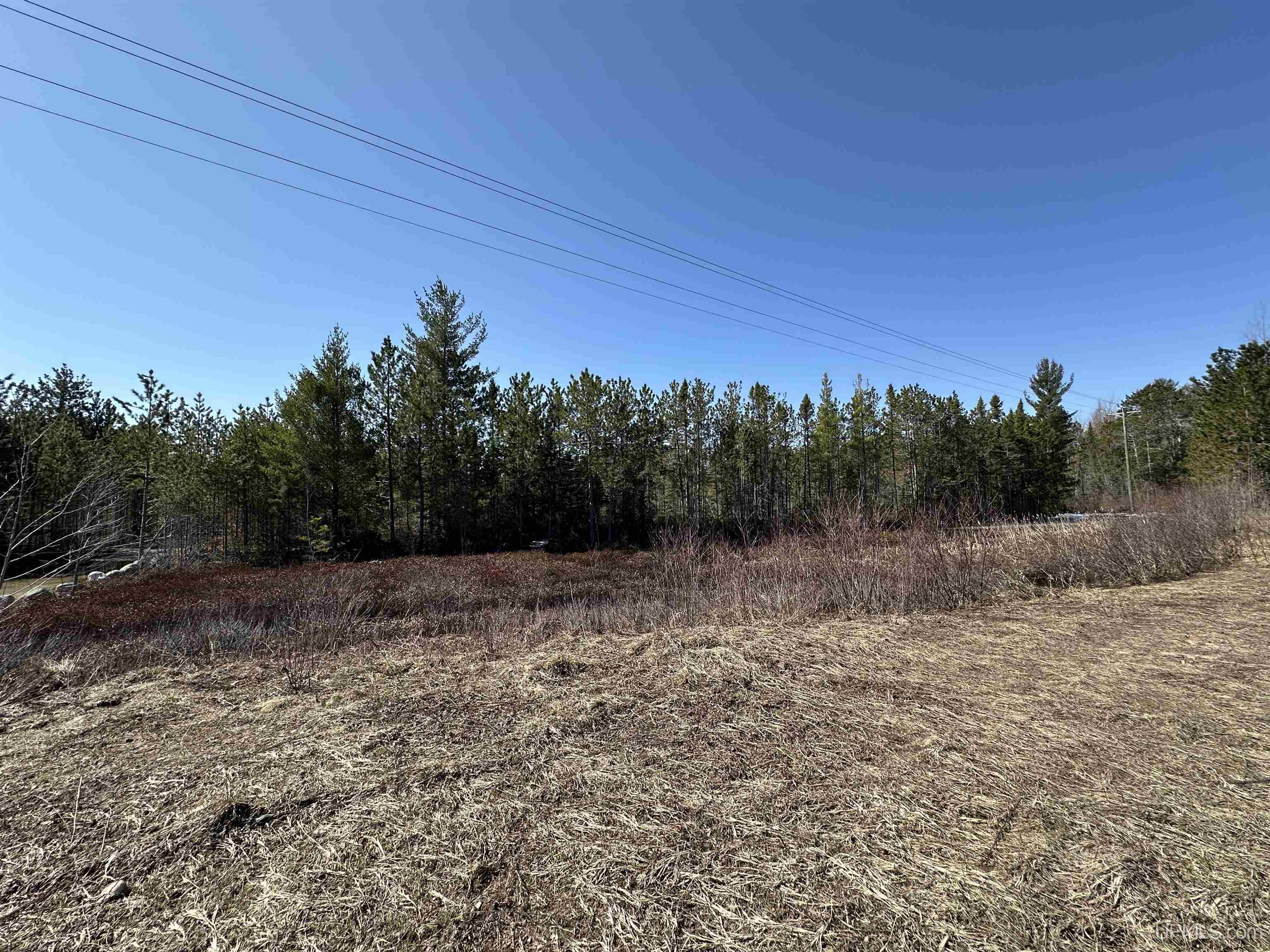 MLS 50204946 Large photo number 2 