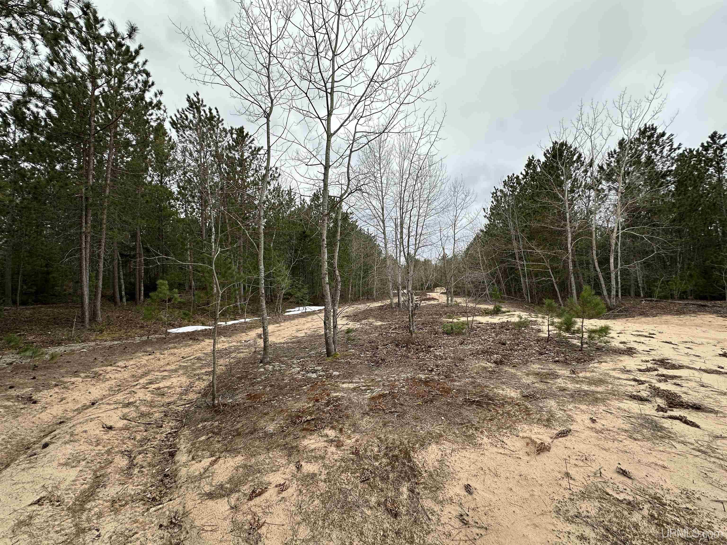 MLS 50204946 Large photo number 11 