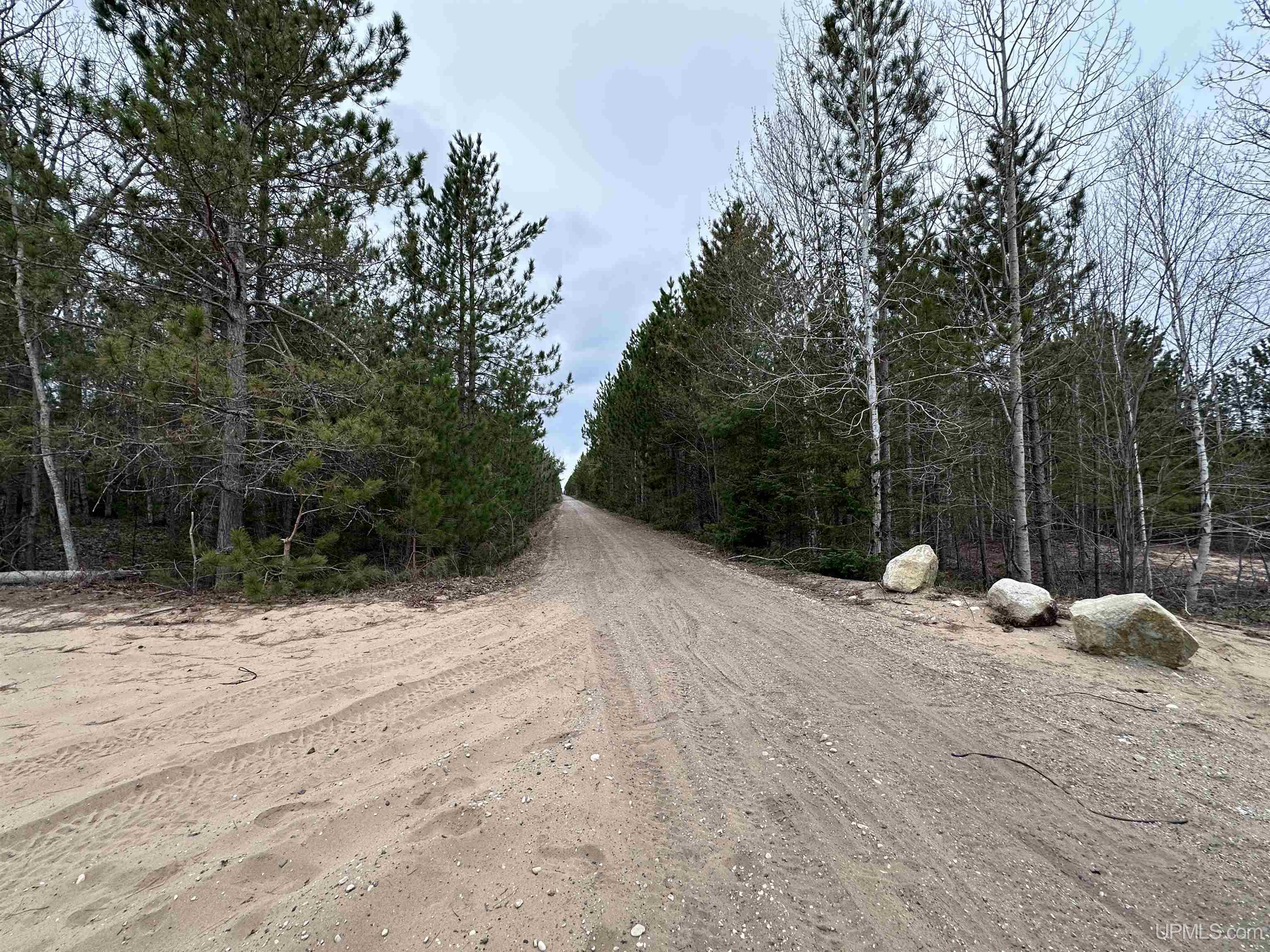 MLS 50204946 Large photo number 12 