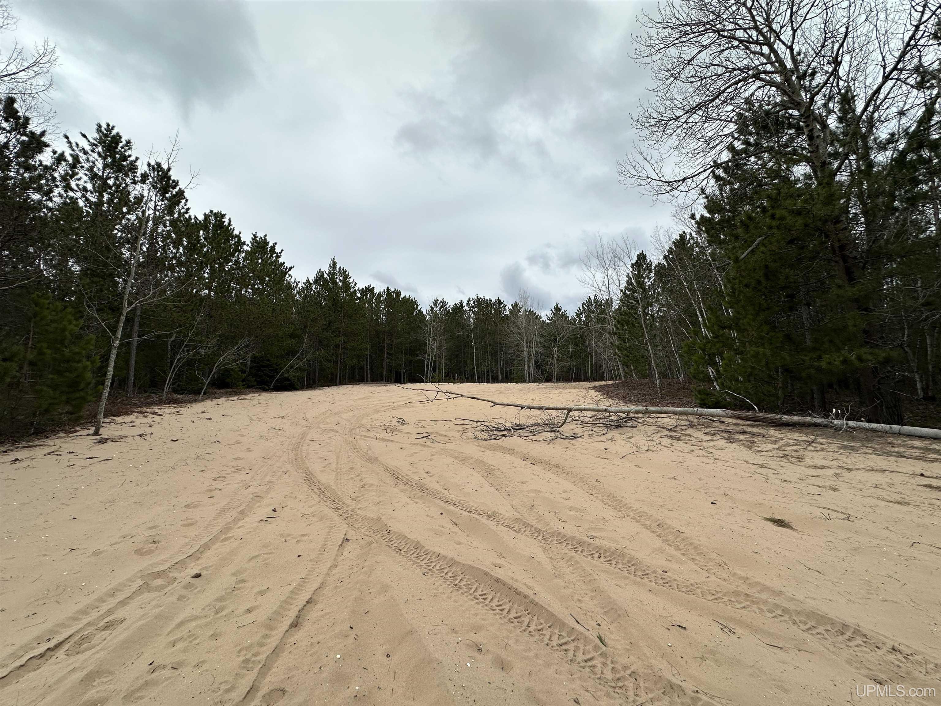 MLS 50204946 Large photo number 4 