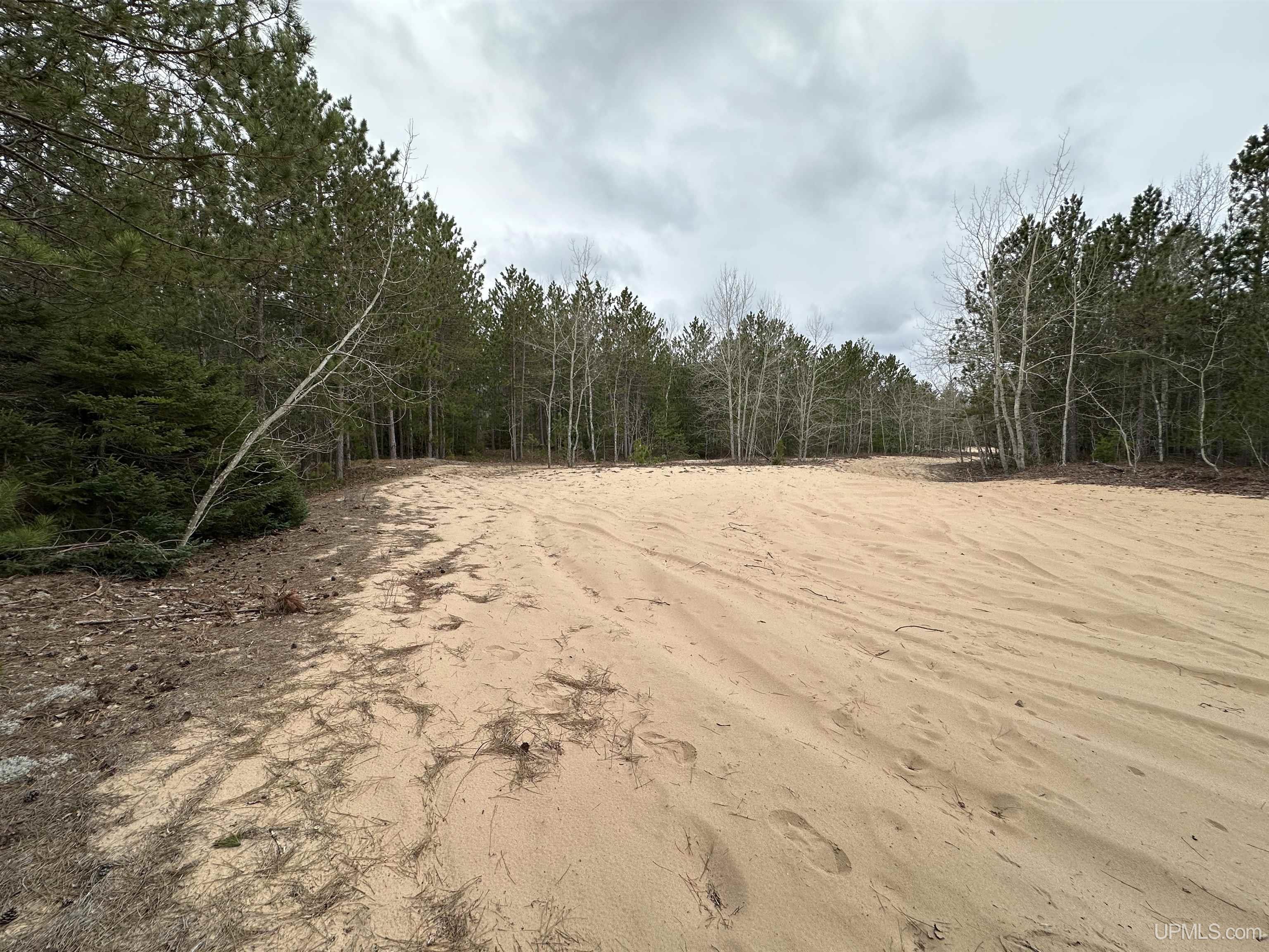 MLS 50204946 Large photo number 5 