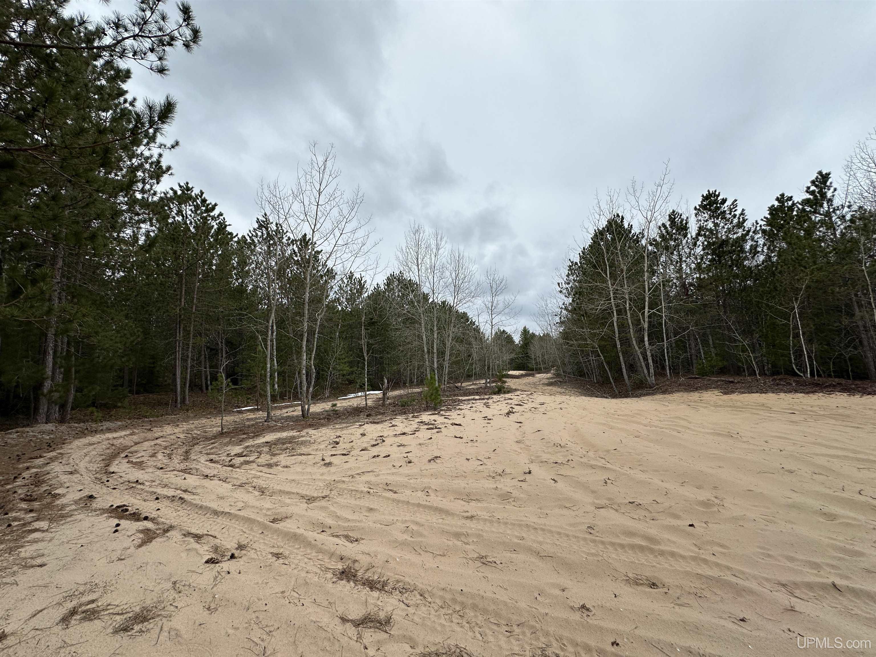 MLS 50204946 Large photo number 6 