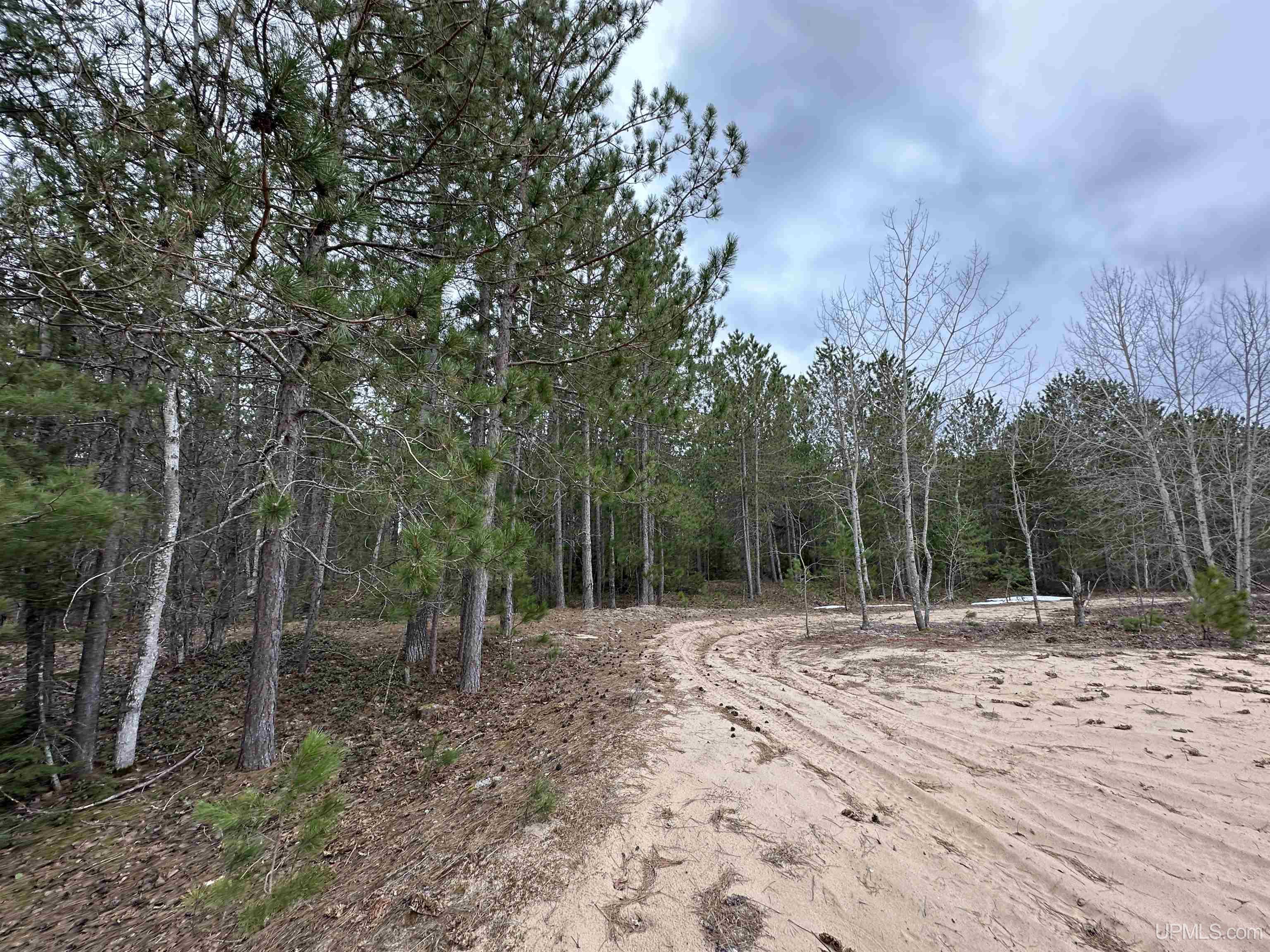 MLS 50204946 Large photo number 7 