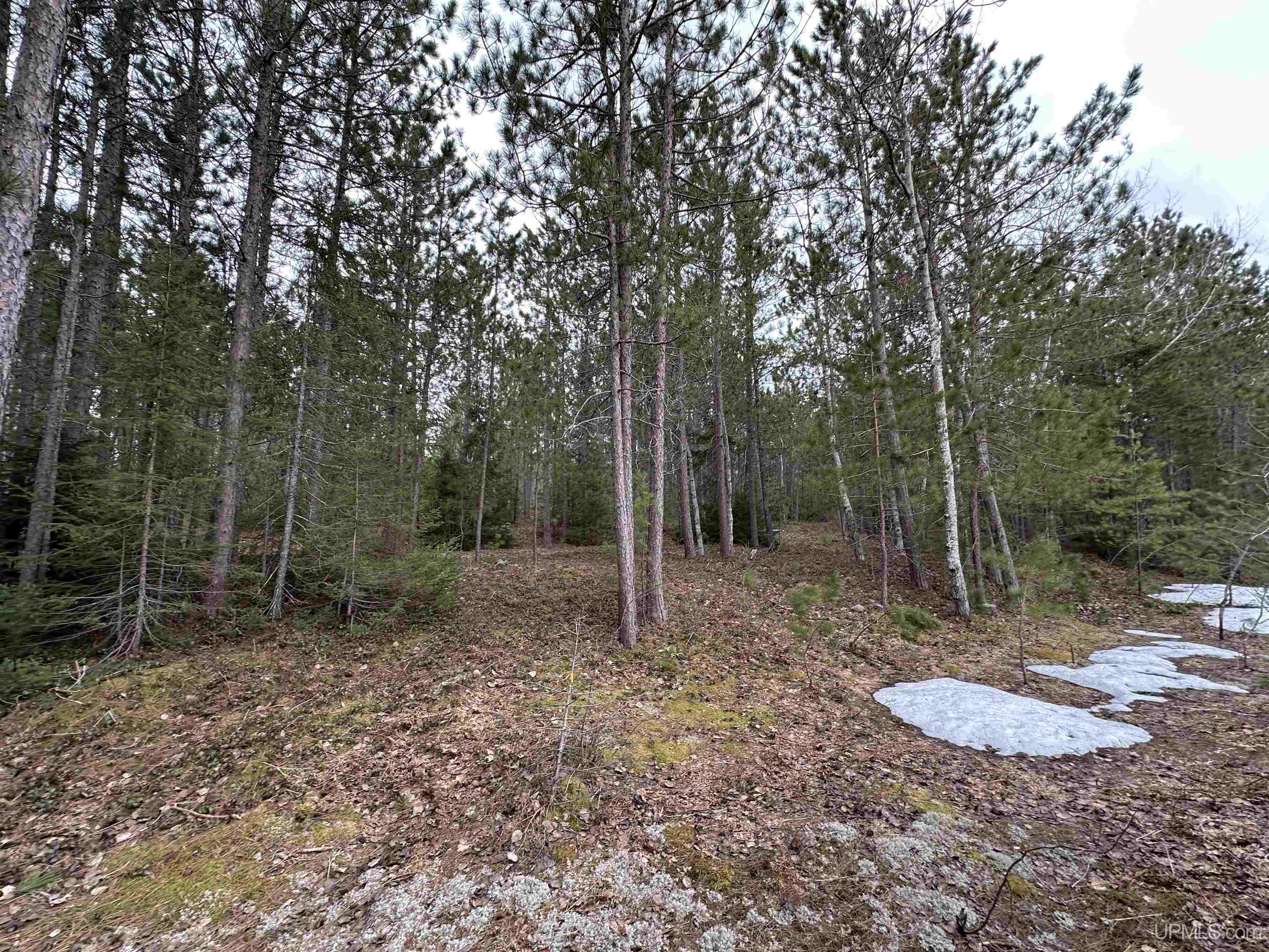 MLS 50204946 Large photo number 9 