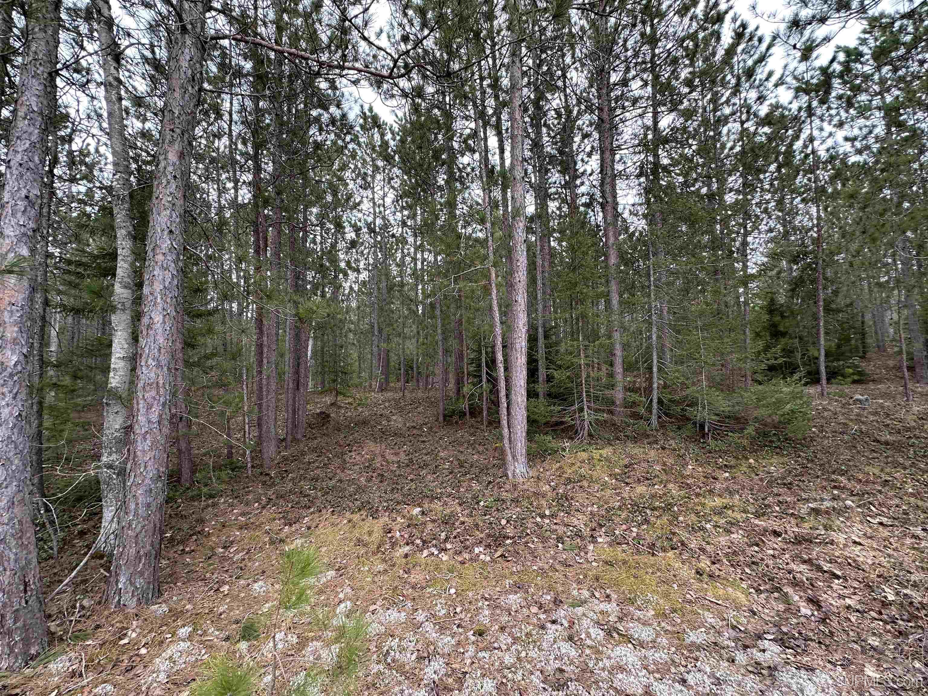 MLS 50204946 Large photo number 10 