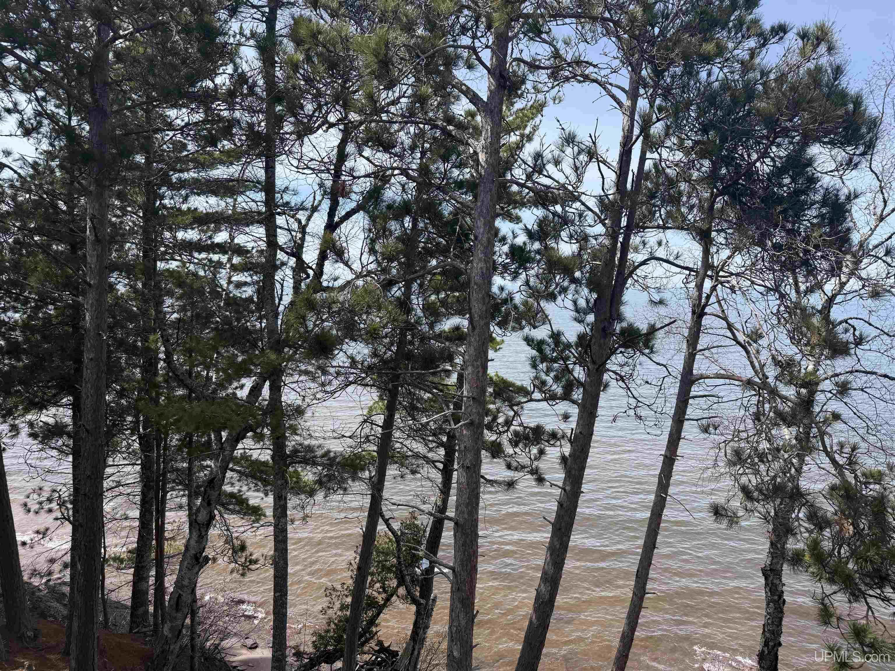 MLS 50204969 Large photo number 14 