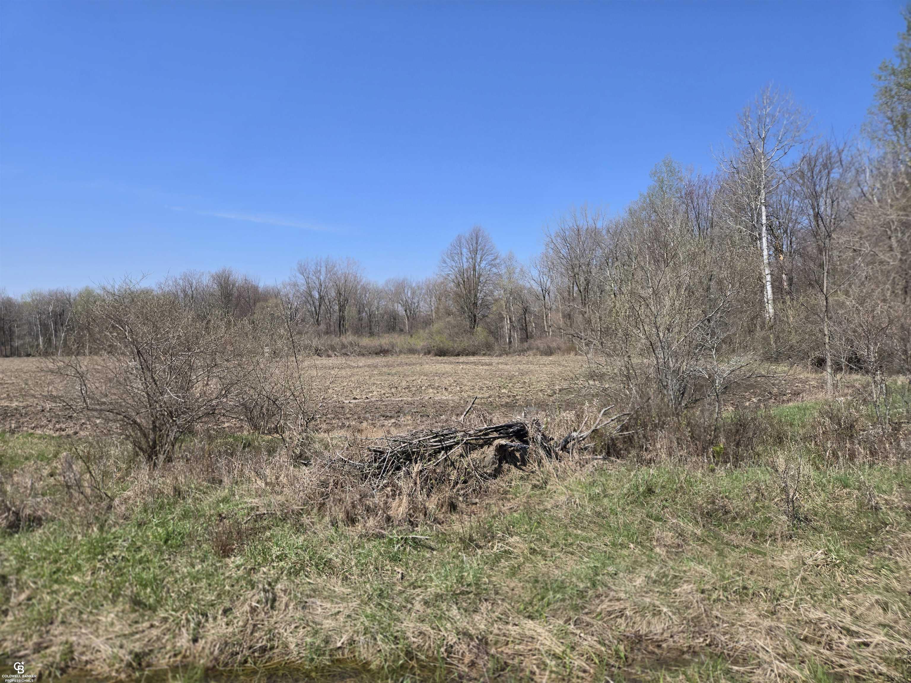 Parcel 2 Pineway Trail, Howell, MI, 48855