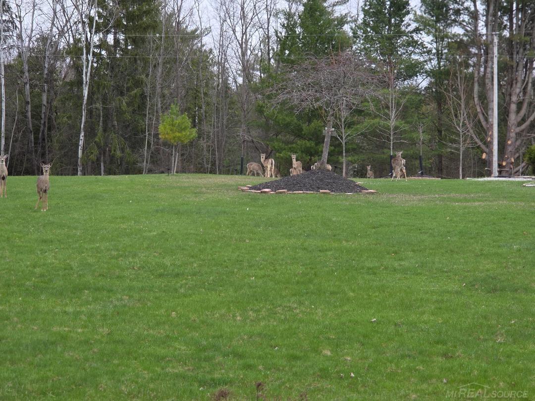 5700 Royal Court, Butman, MI, 48624